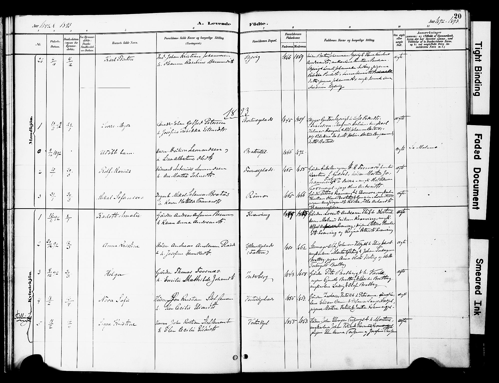 Ministerialprotokoller, klokkerbøker og fødselsregistre - Nord-Trøndelag, SAT/A-1458/741/L0396: Parish register (official) no. 741A10, 1889-1901, p. 20