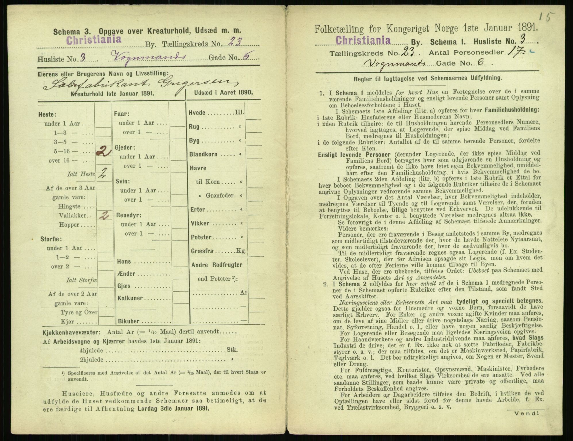 RA, 1891 census for 0301 Kristiania, 1891, p. 10991