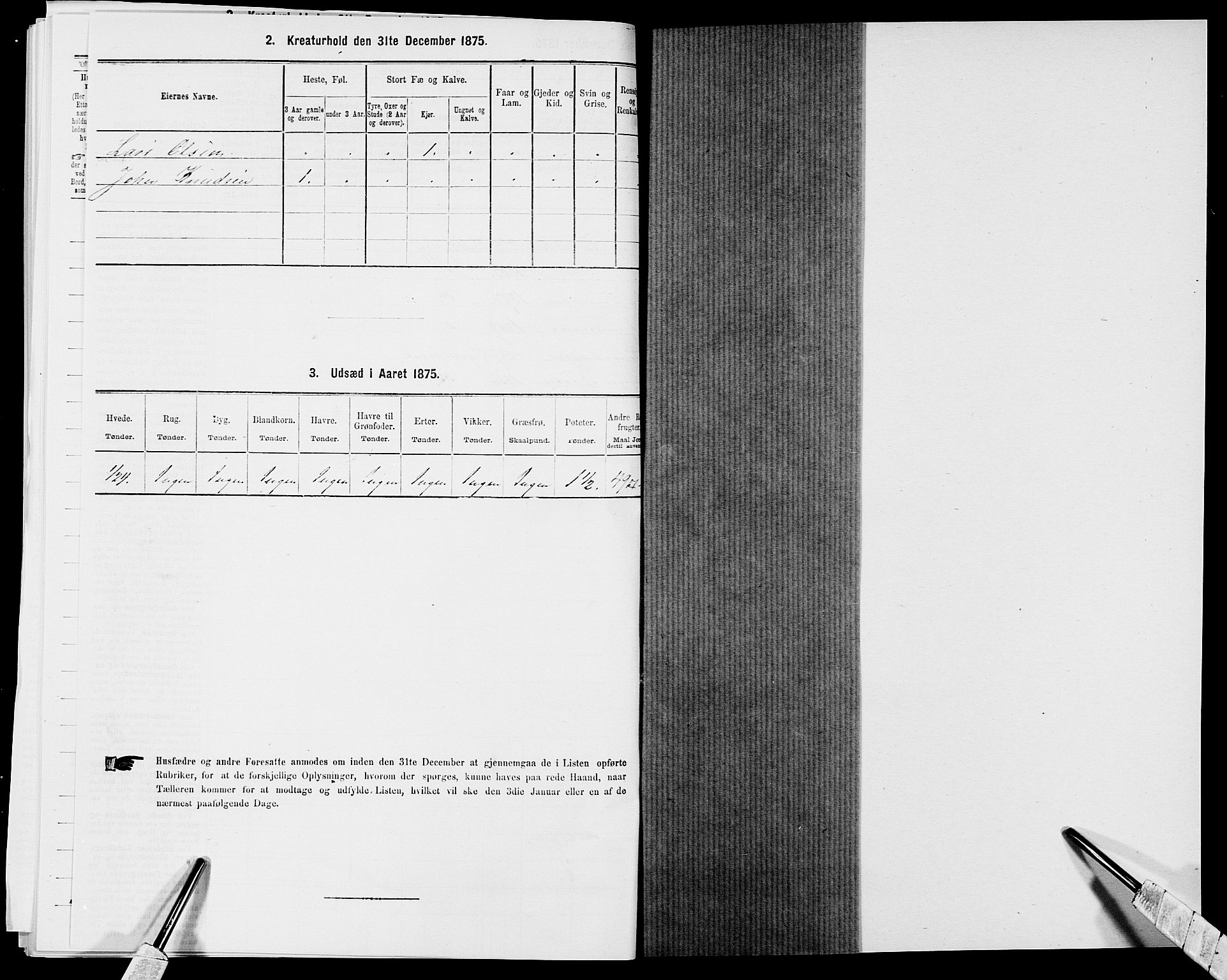 SAK, 1875 census for 0914L Holt/Holt, 1875, p. 295