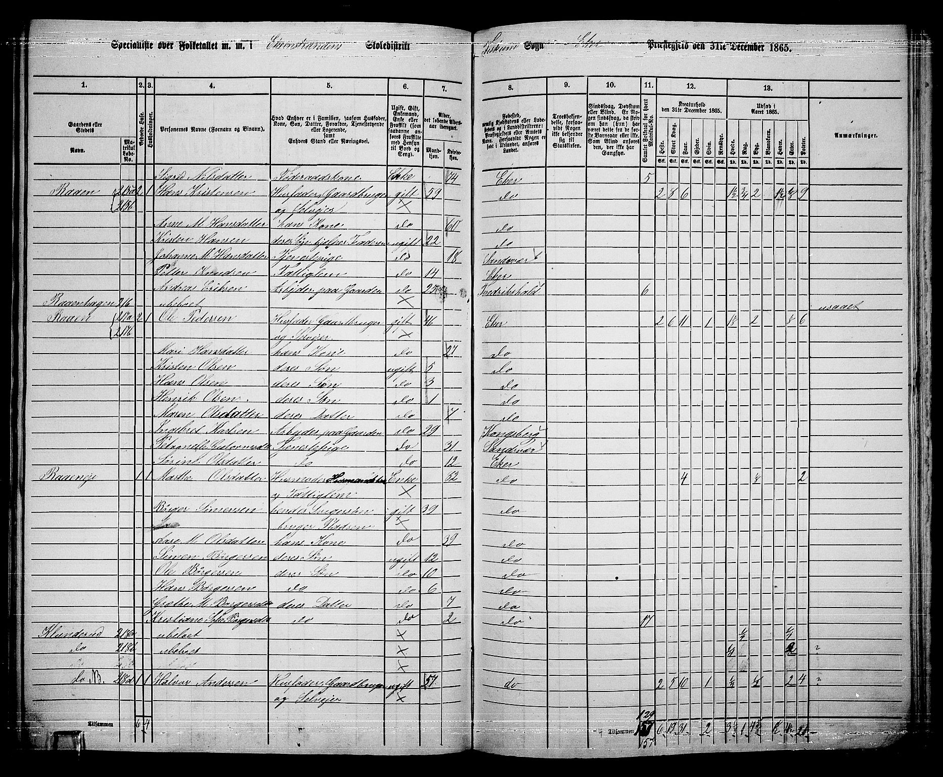 RA, 1865 census for Eiker, 1865, p. 493