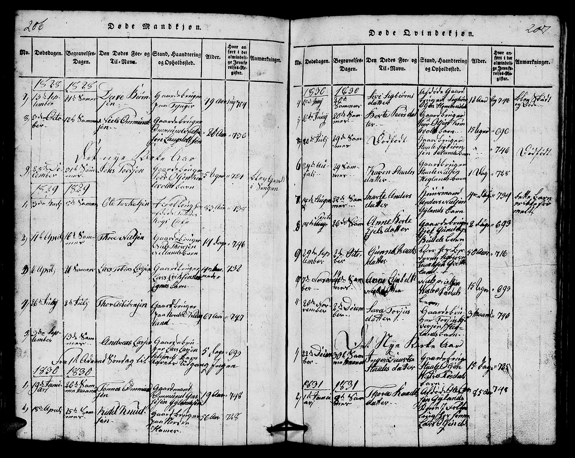 Bakke sokneprestkontor, SAK/1111-0002/F/Fb/Fbb/L0001: Parish register (copy) no. B 1, 1815-1835, p. 206-207