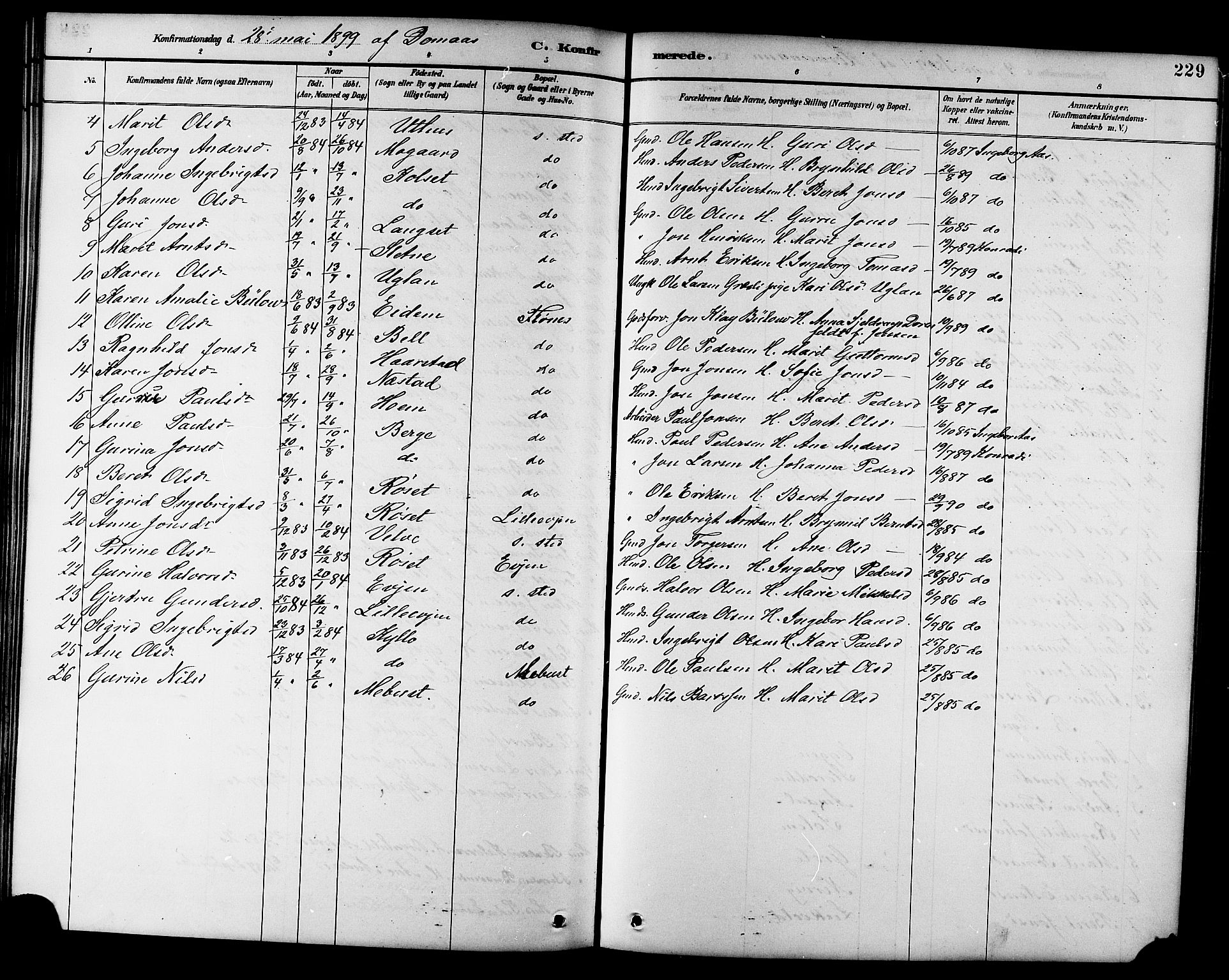 Ministerialprotokoller, klokkerbøker og fødselsregistre - Sør-Trøndelag, AV/SAT-A-1456/695/L1157: Parish register (copy) no. 695C08, 1889-1913, p. 229