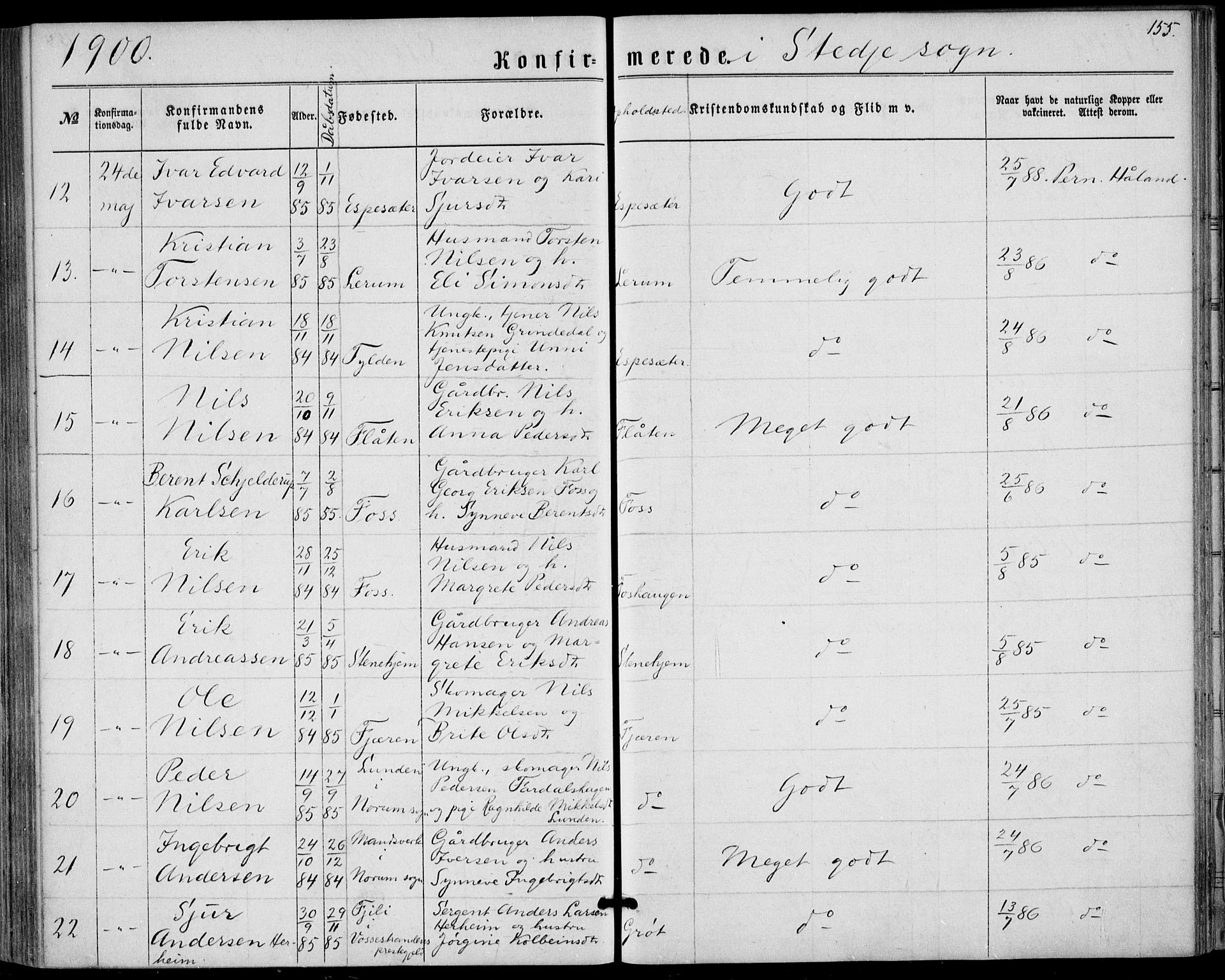 Sogndal sokneprestembete, SAB/A-81301/H/Haa/Haaa/L0015: Parish register (official) no. A 15, 1871-1904, p. 155