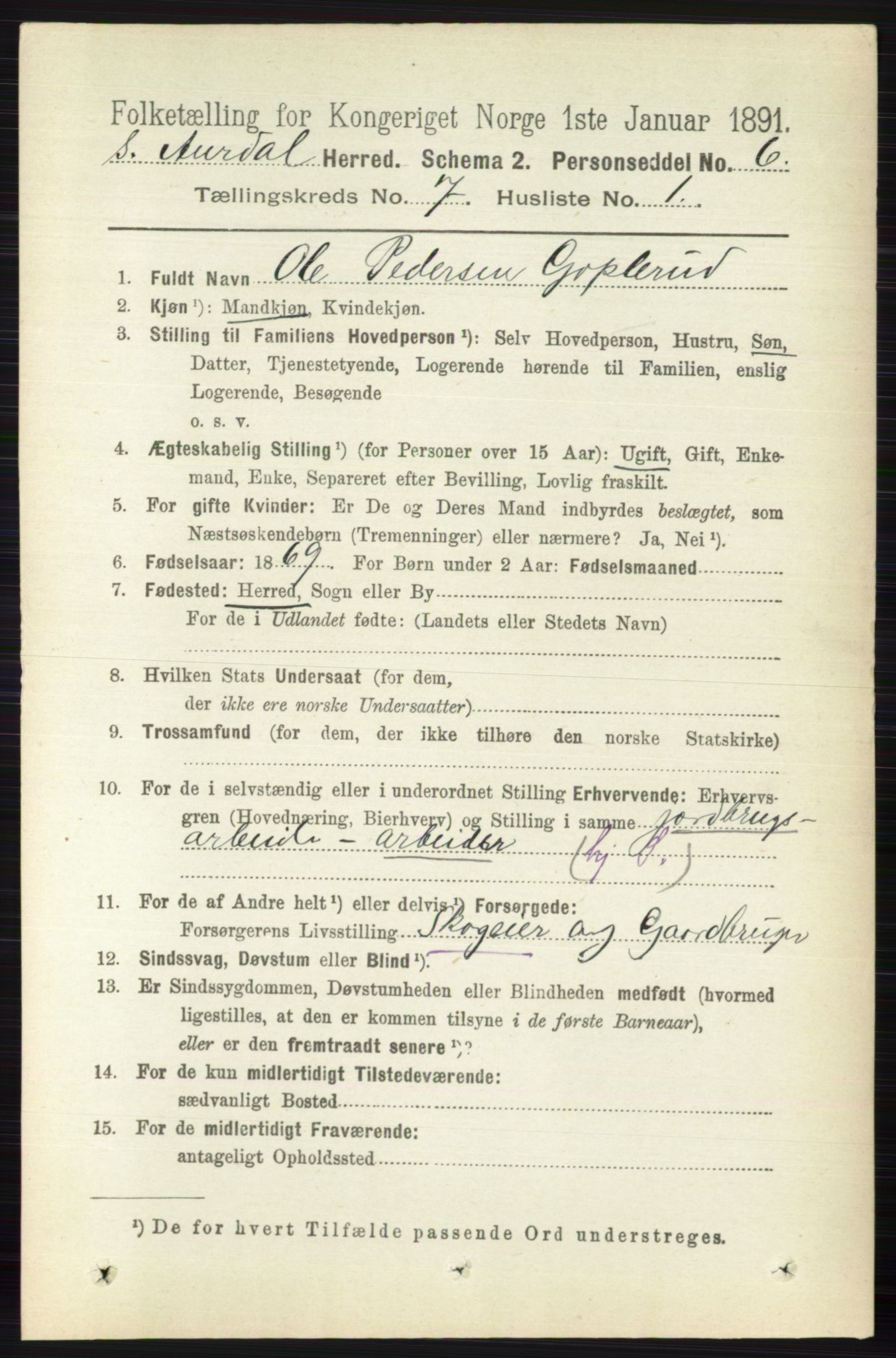 RA, 1891 census for 0540 Sør-Aurdal, 1891, p. 4403