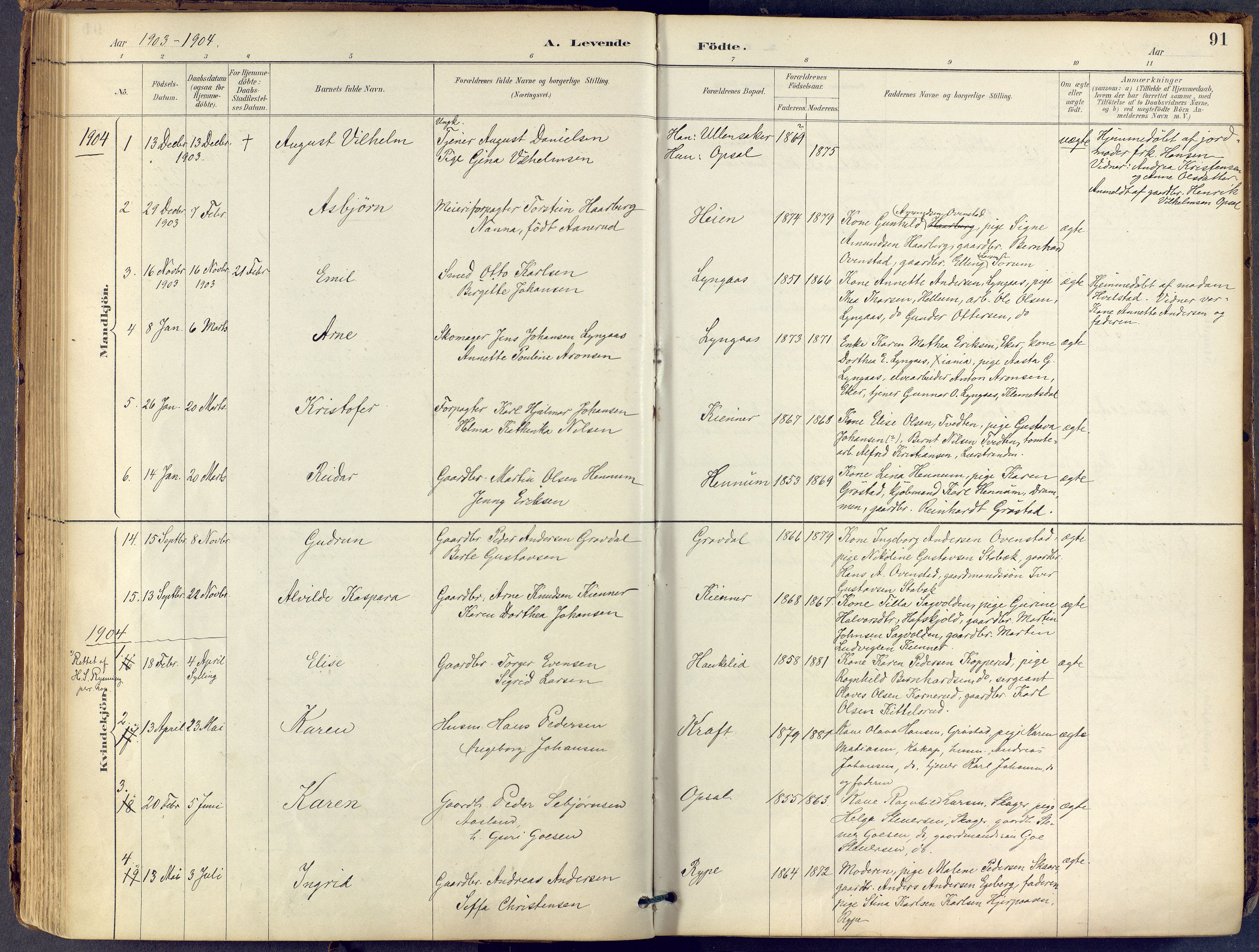 Lier kirkebøker, SAKO/A-230/F/Fb/L0001: Parish register (official) no. II 1, 1883-1910, p. 91