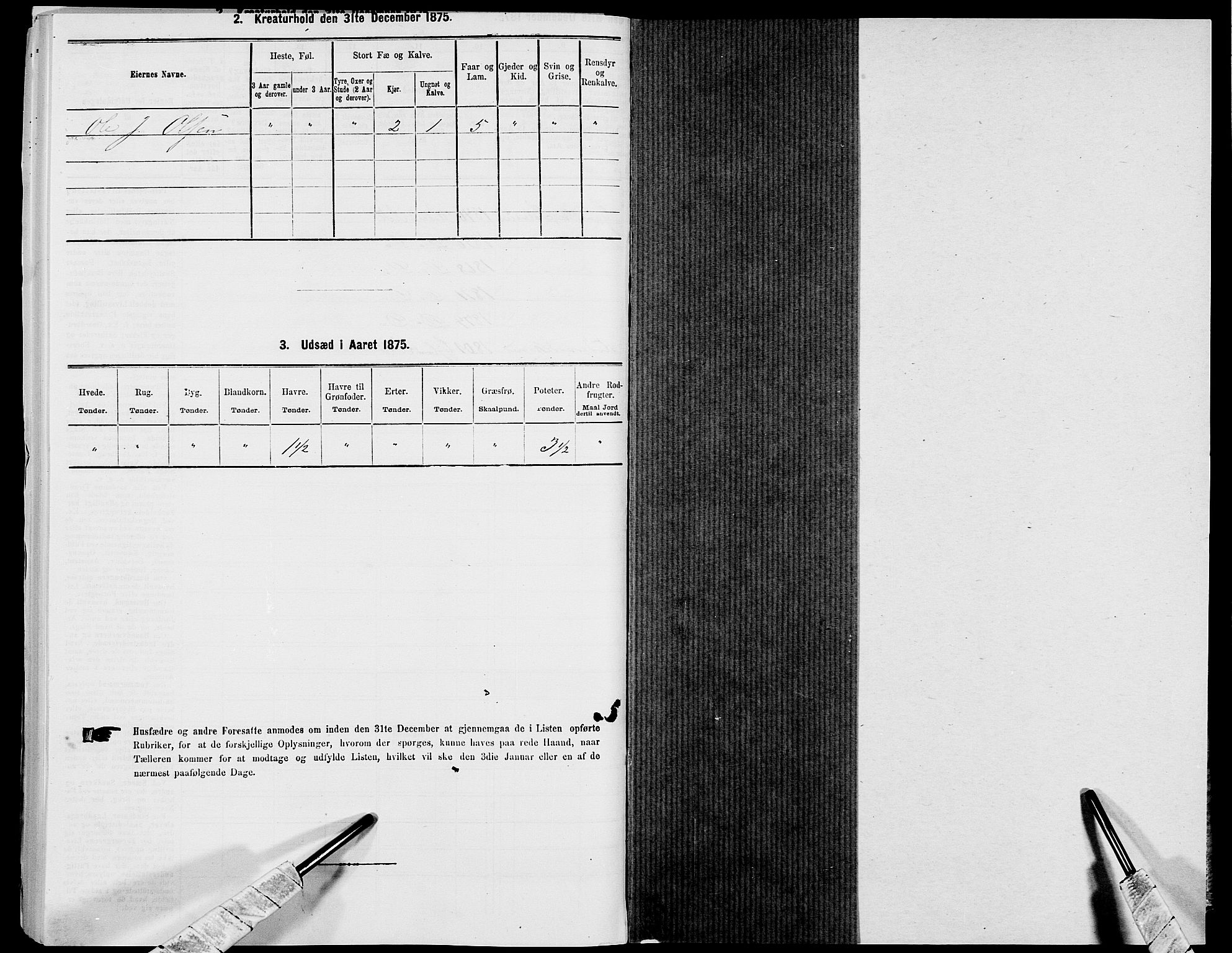 SAK, 1875 census for 1042L Flekkefjord/Nes og Hidra, 1875, p. 531