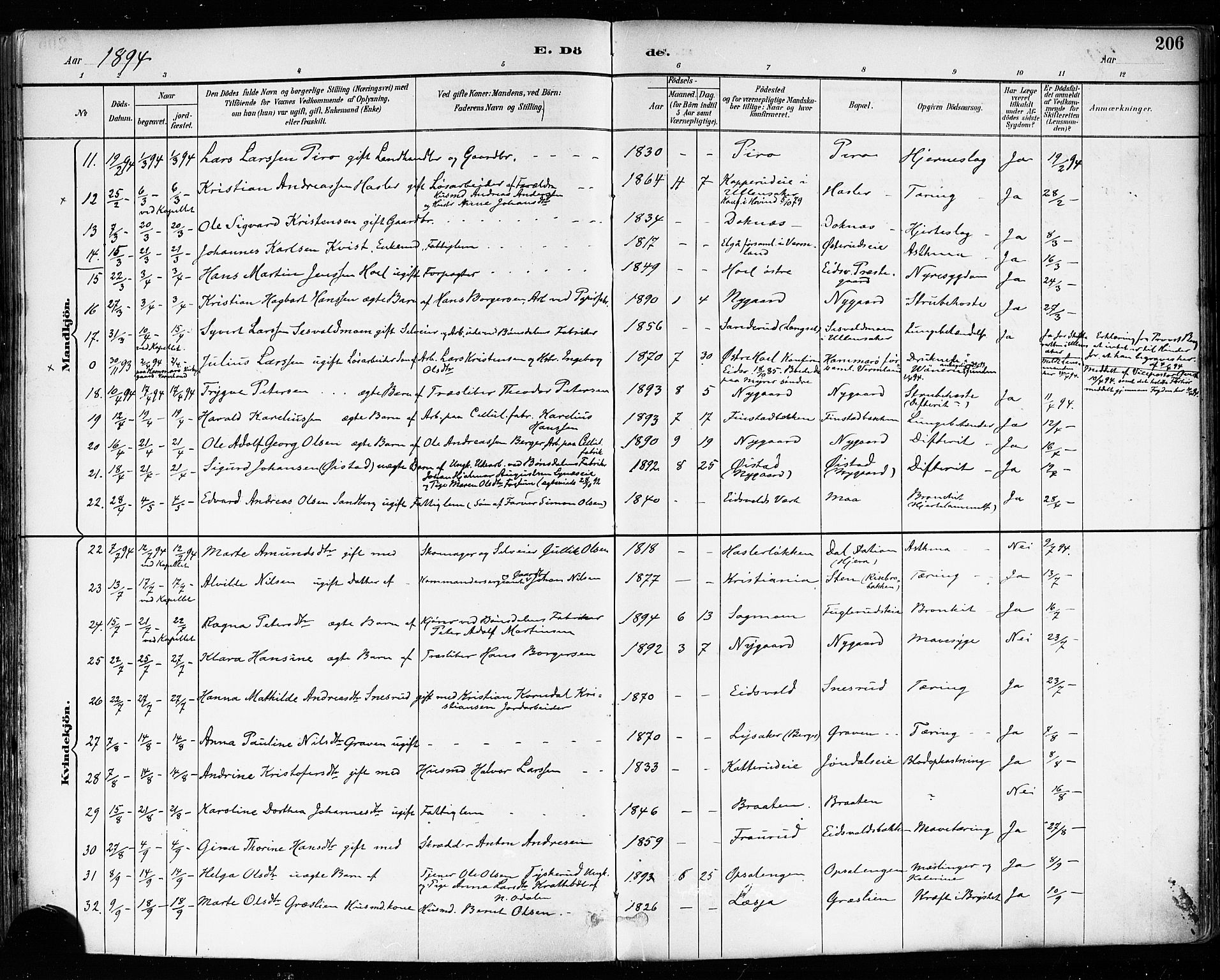 Eidsvoll prestekontor Kirkebøker, SAO/A-10888/F/Fa/L0004: Parish register (official) no. I 4, 1891-1900, p. 206