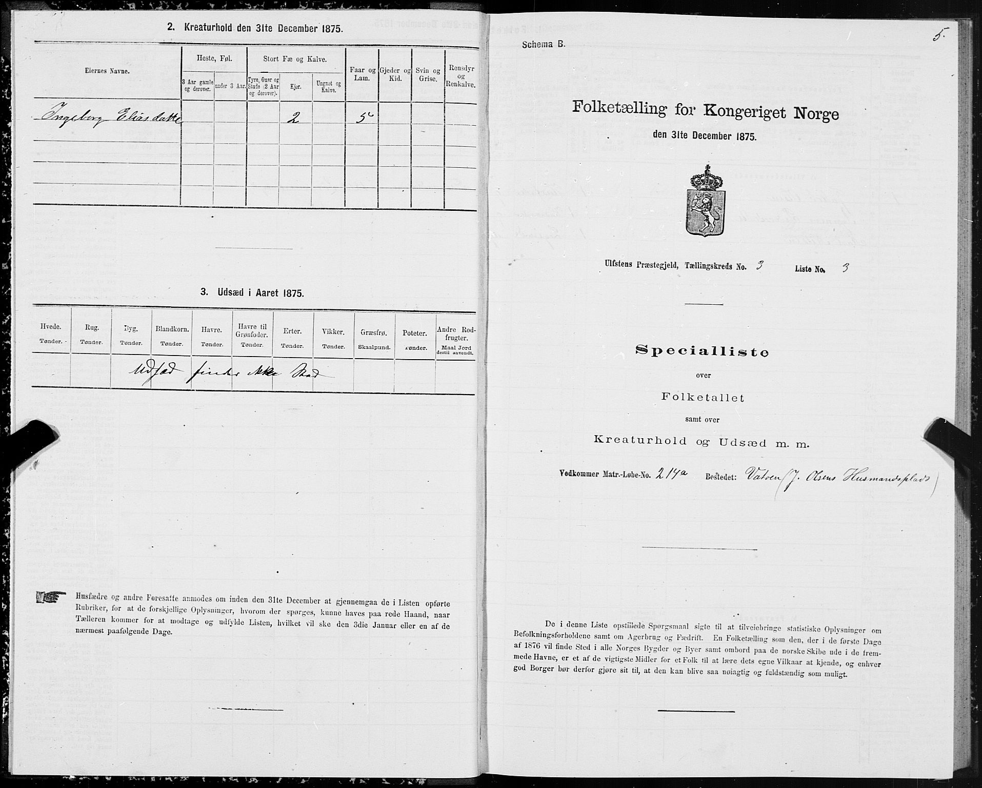 SAT, 1875 census for 1516P Ulstein, 1875, p. 2005