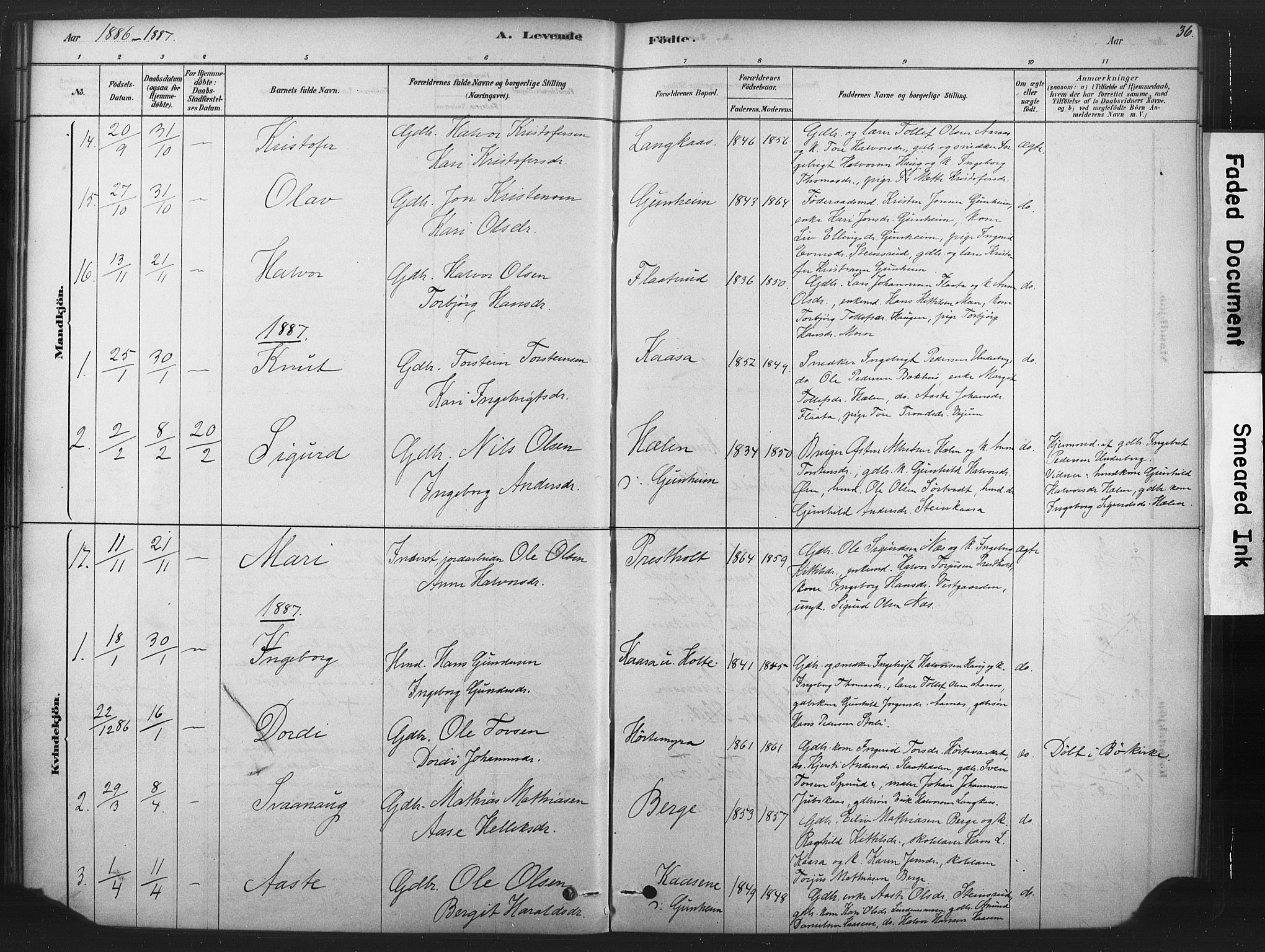 Sauherad kirkebøker, SAKO/A-298/F/Fb/L0002: Parish register (official) no. II 2, 1878-1901, p. 36