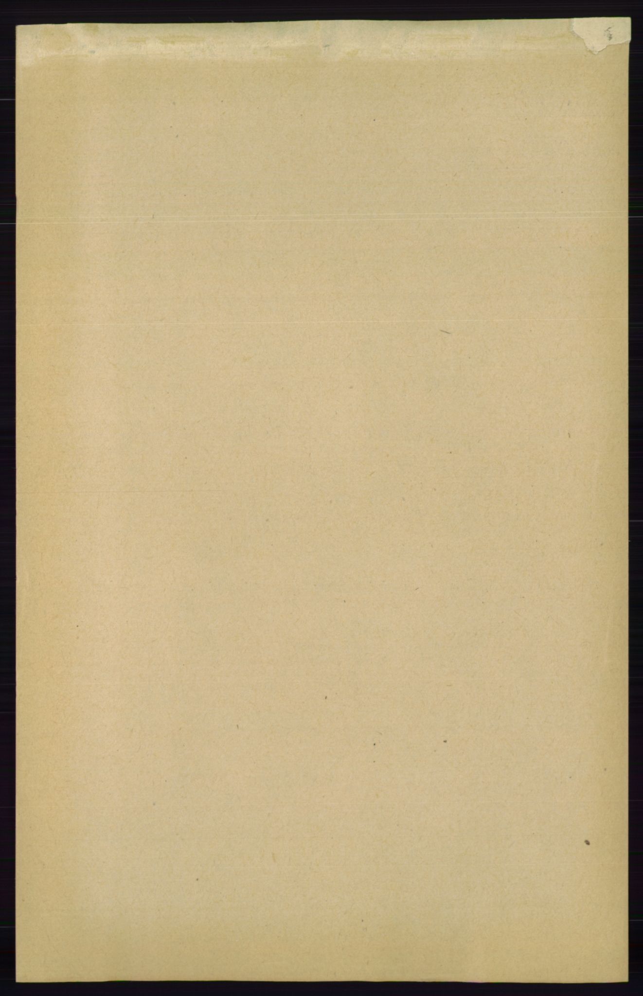 RA, 1891 census for 0915 Dypvåg, 1891, p. 6397