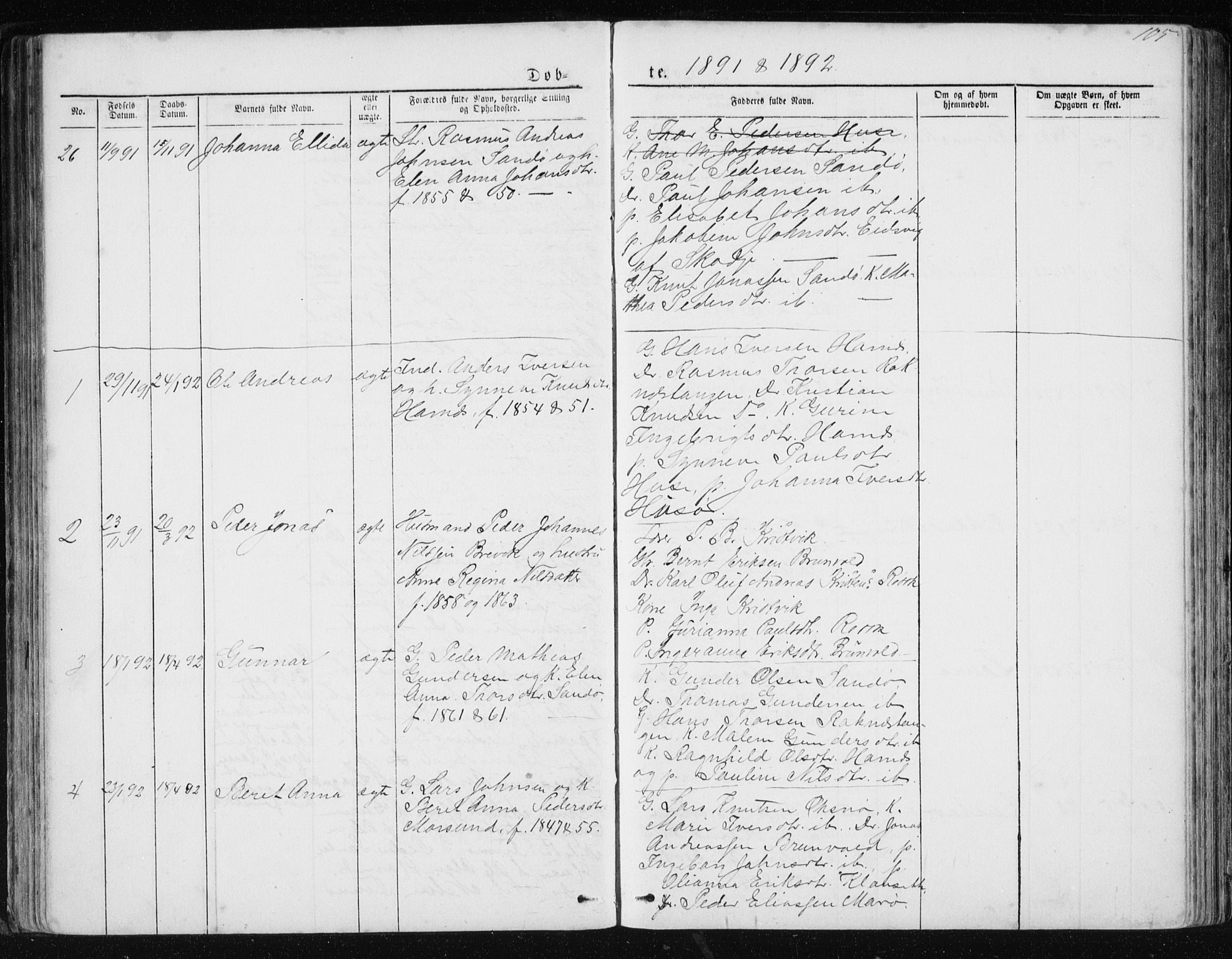 Ministerialprotokoller, klokkerbøker og fødselsregistre - Møre og Romsdal, AV/SAT-A-1454/561/L0732: Parish register (copy) no. 561C02, 1867-1900, p. 105