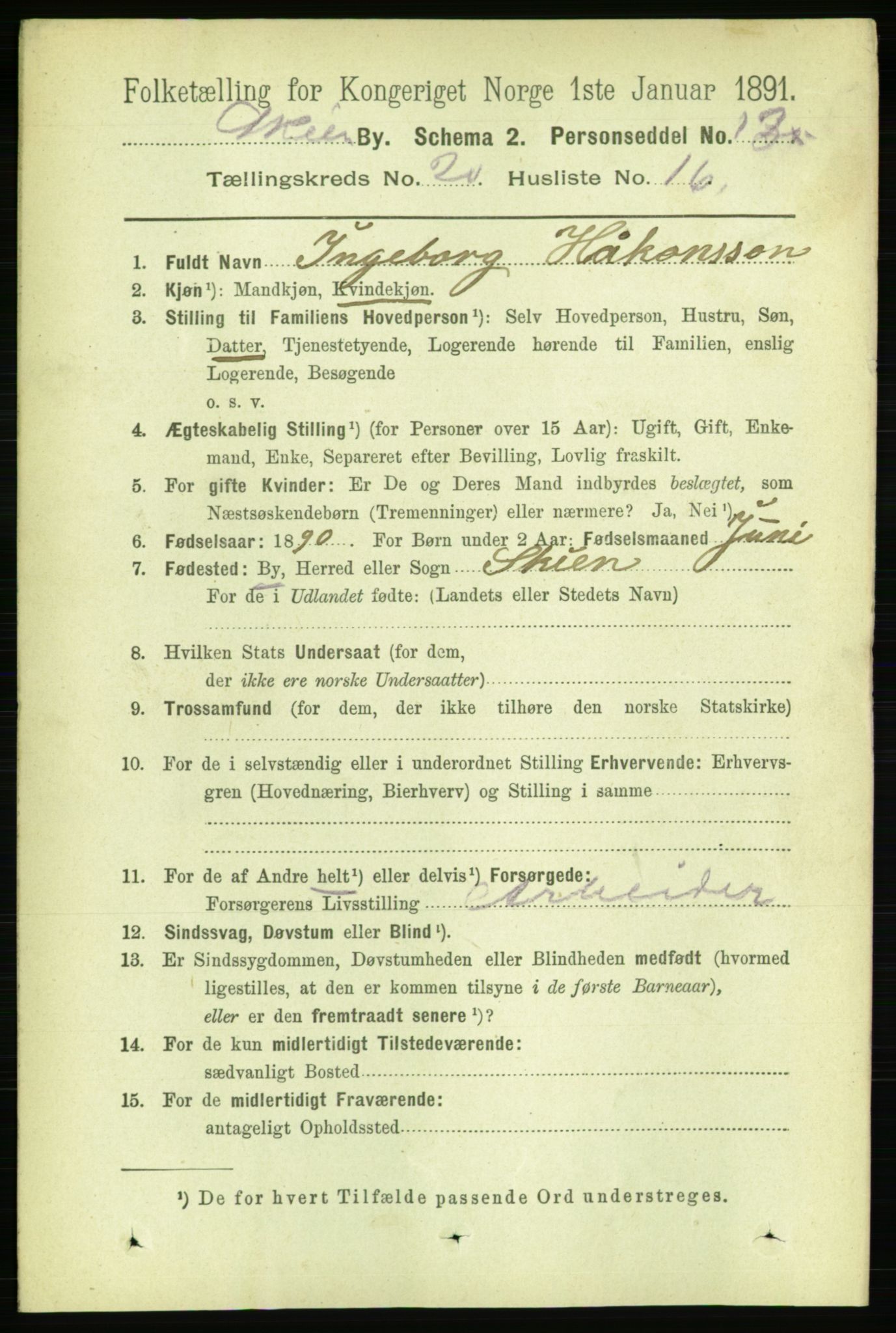 RA, 1891 census for 0806 Skien, 1891, p. 5298