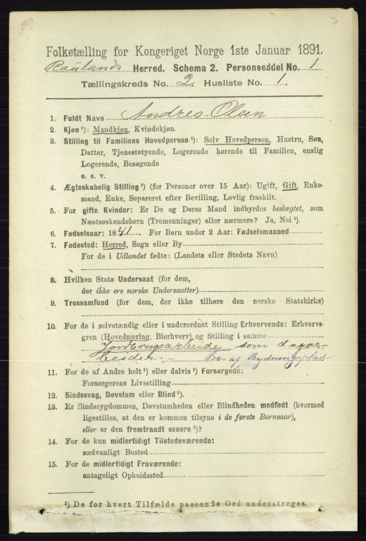 RA, 1891 census for 0835 Rauland, 1891, p. 256