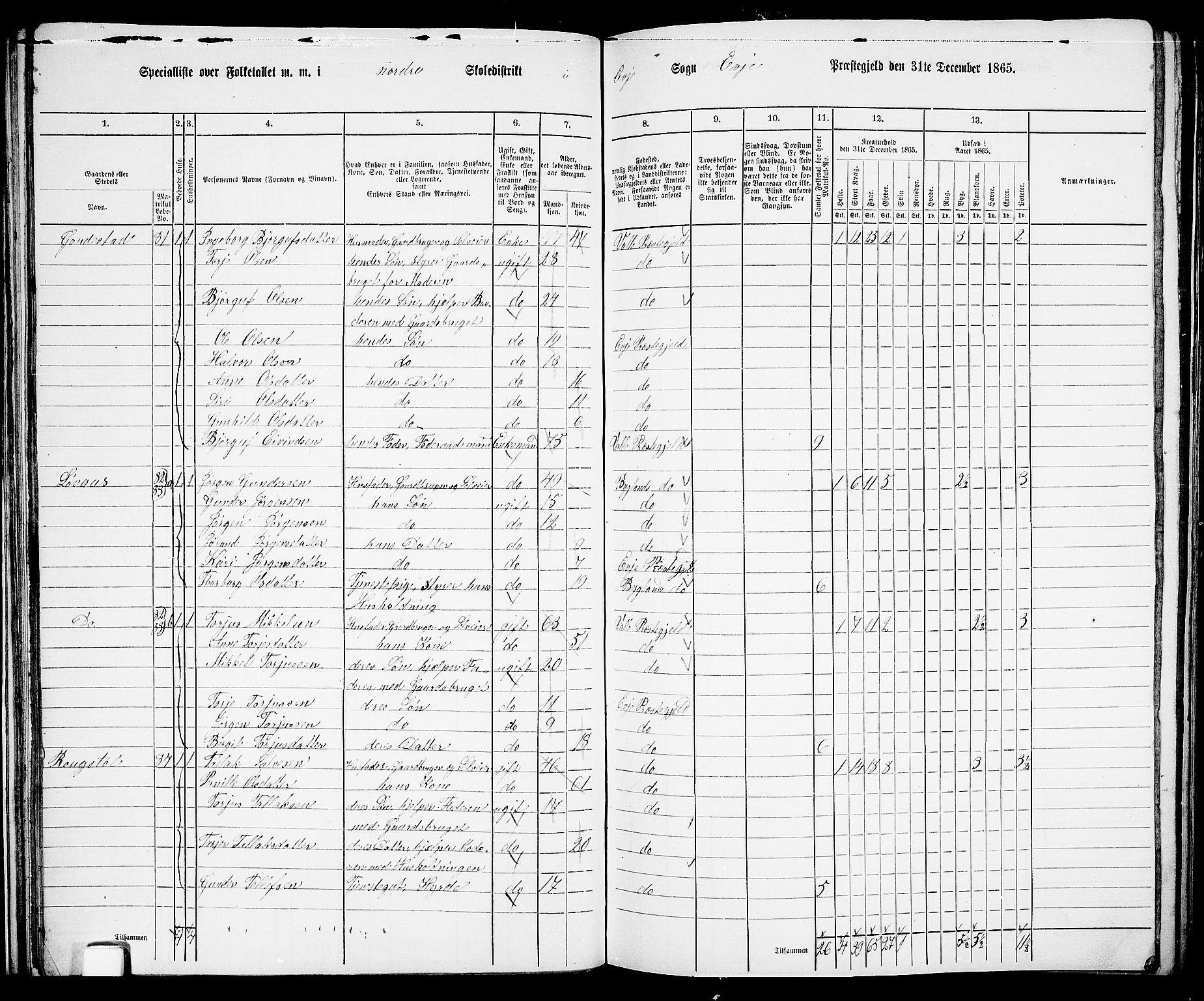 RA, 1865 census for Evje, 1865, p. 40