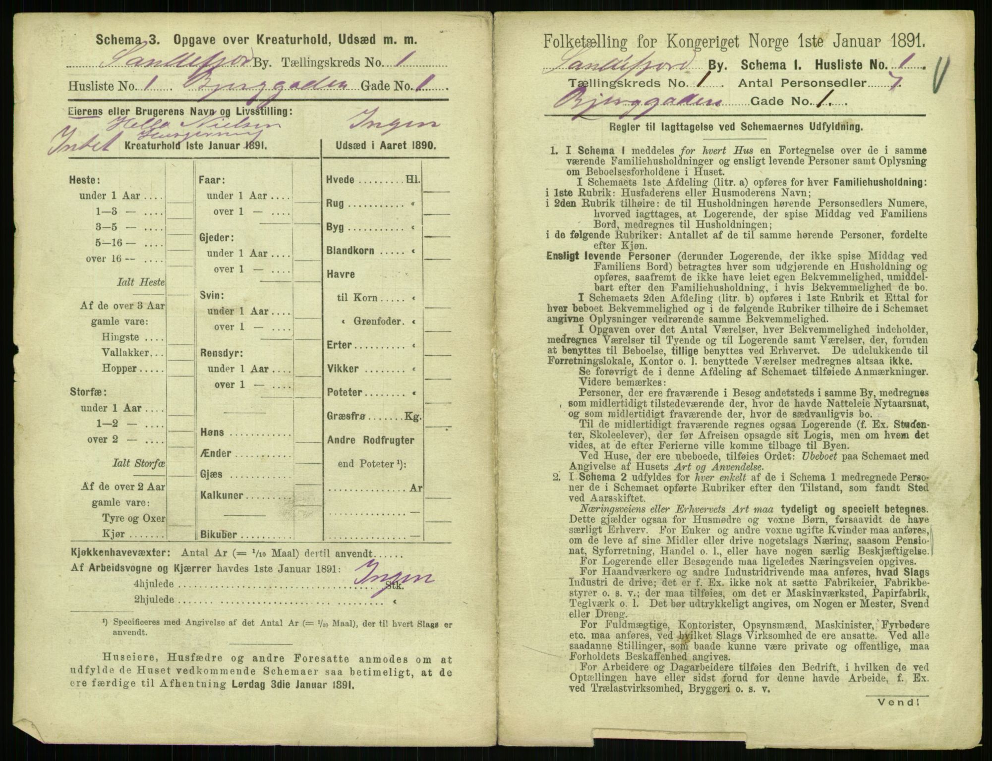 RA, 1891 census for 0706 Sandefjord, 1891, p. 27