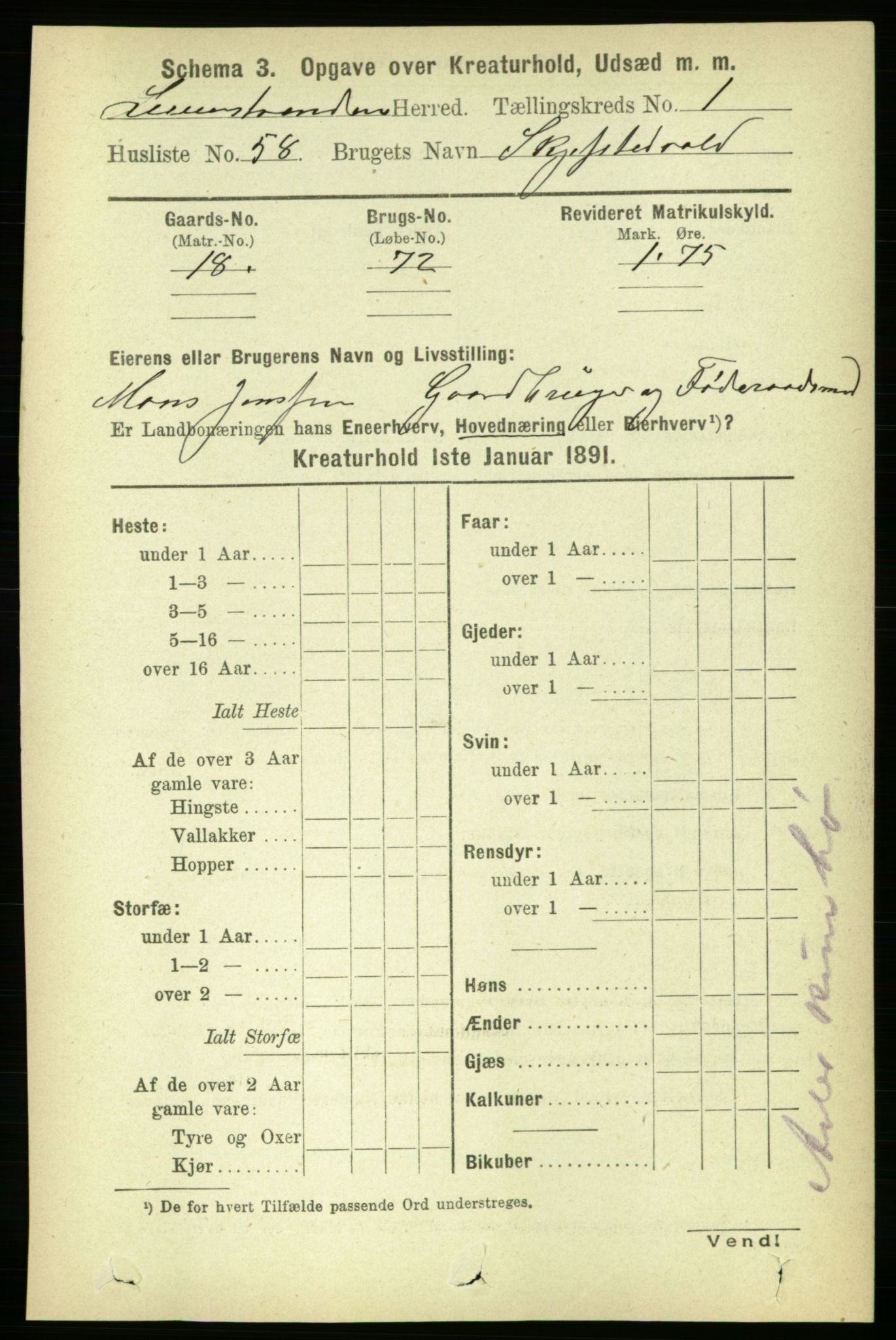 RA, 1891 census for 1654 Leinstrand, 1891, p. 1523