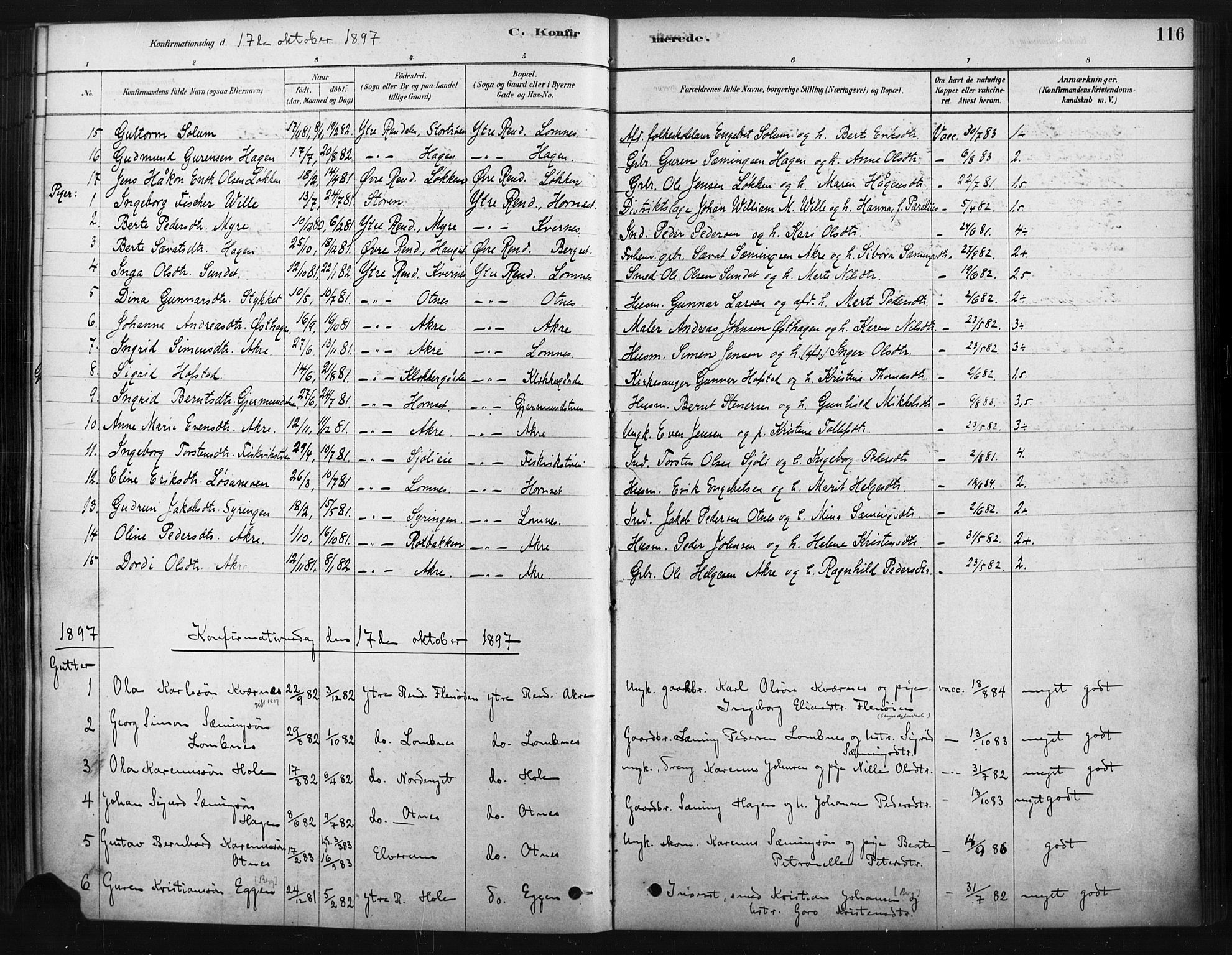 Rendalen prestekontor, SAH/PREST-054/H/Ha/Haa/L0010: Parish register (official) no. 10, 1878-1901, p. 116