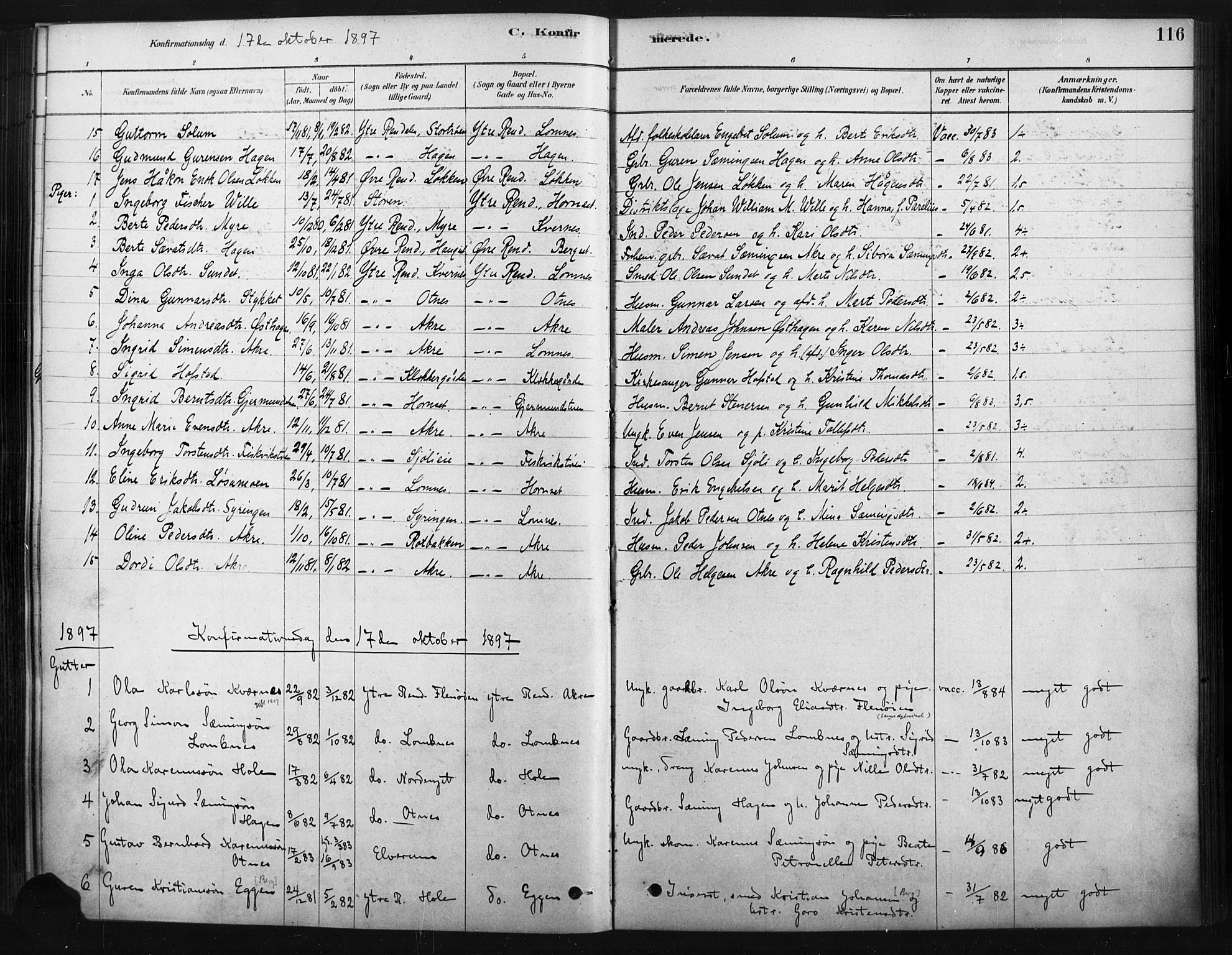 Rendalen prestekontor, AV/SAH-PREST-054/H/Ha/Haa/L0010: Parish register (official) no. 10, 1878-1901, p. 116