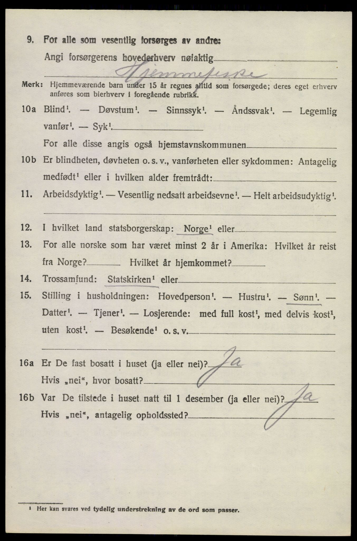 SAKO, 1920 census for Brunlanes, 1920, p. 9732