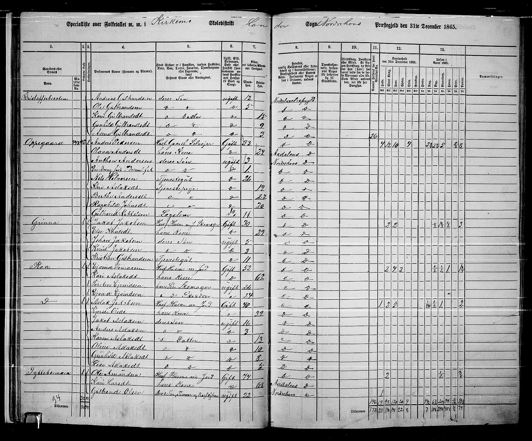 RA, 1865 census for Norderhov/Norderhov, Haug og Lunder, 1865, p. 34