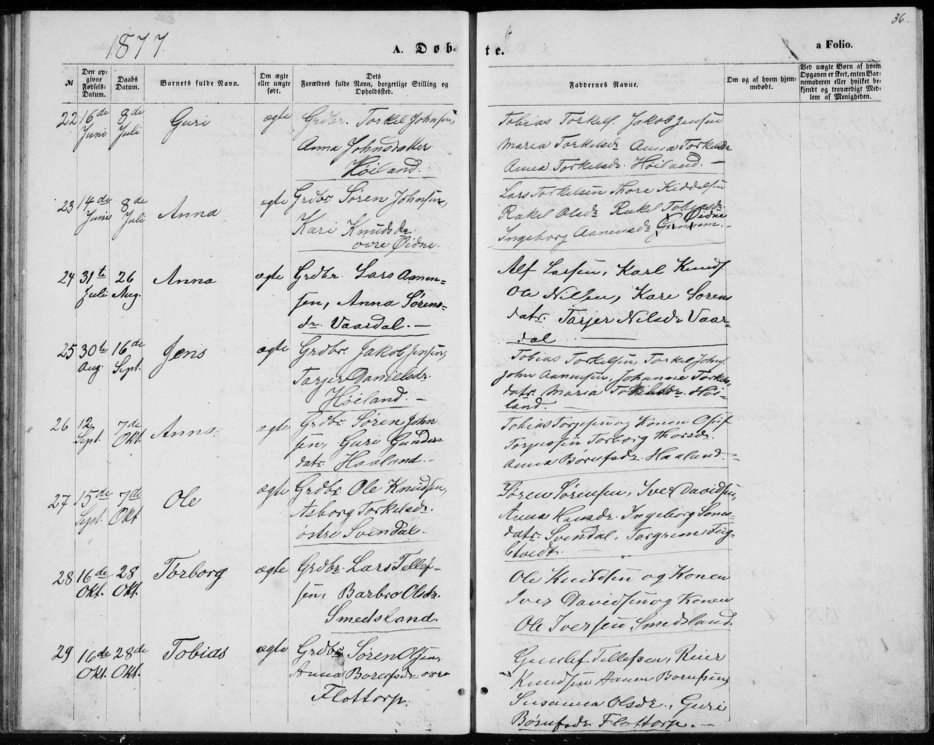 Bjelland sokneprestkontor, AV/SAK-1111-0005/F/Fb/Fbc/L0002: Parish register (copy) no. B 2, 1867-1887, p. 36