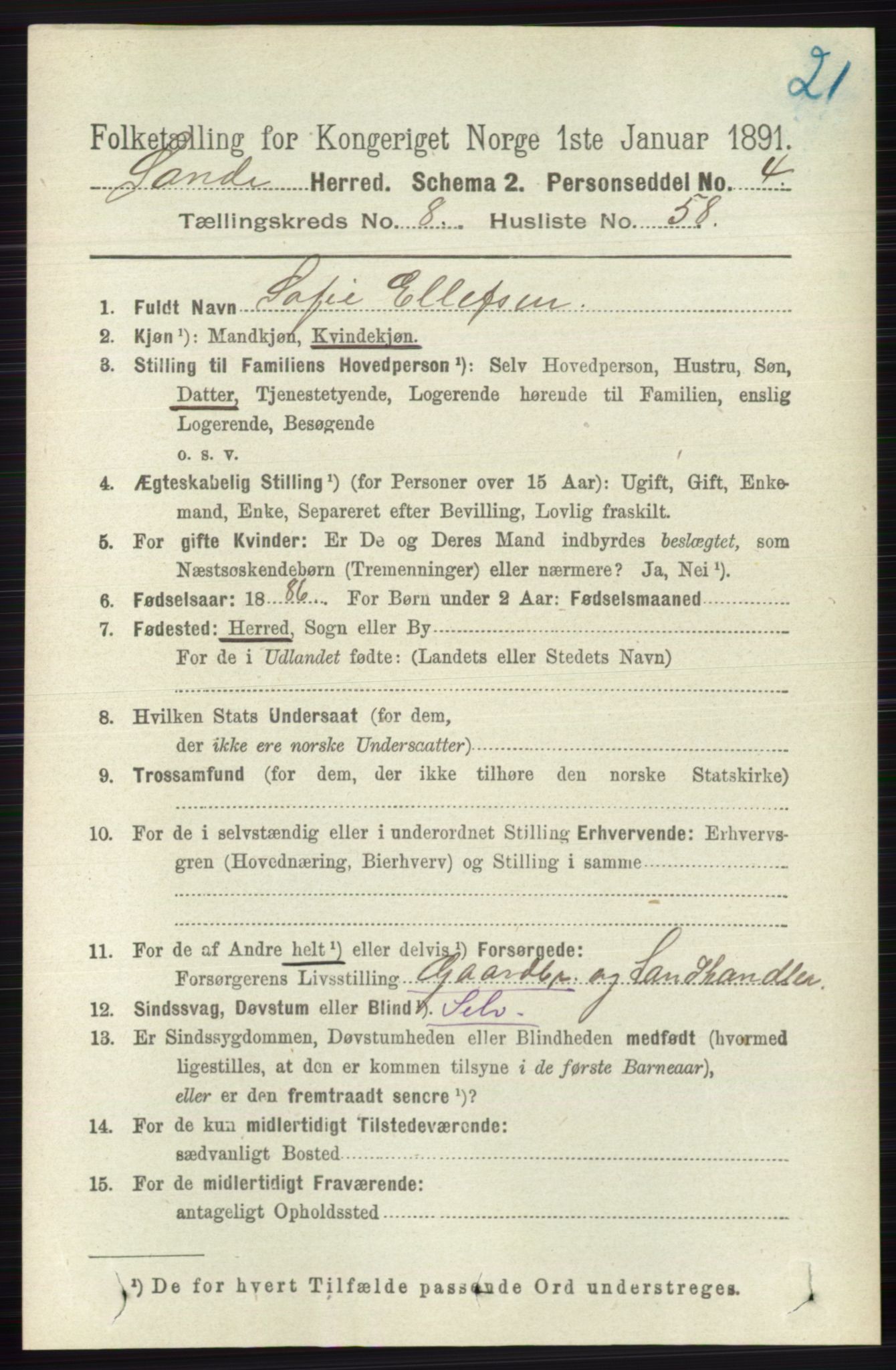 RA, 1891 census for 0713 Sande, 1891, p. 3828