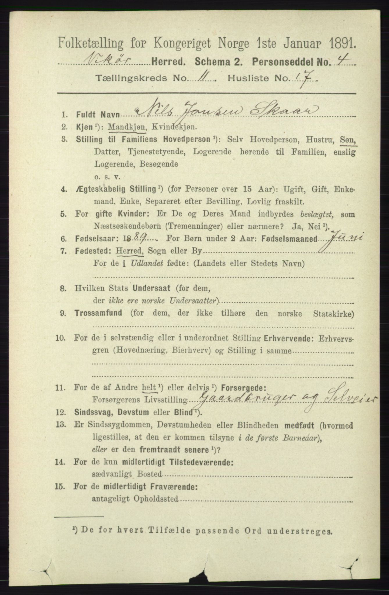 RA, 1891 census for 1238 Vikør, 1891, p. 3253