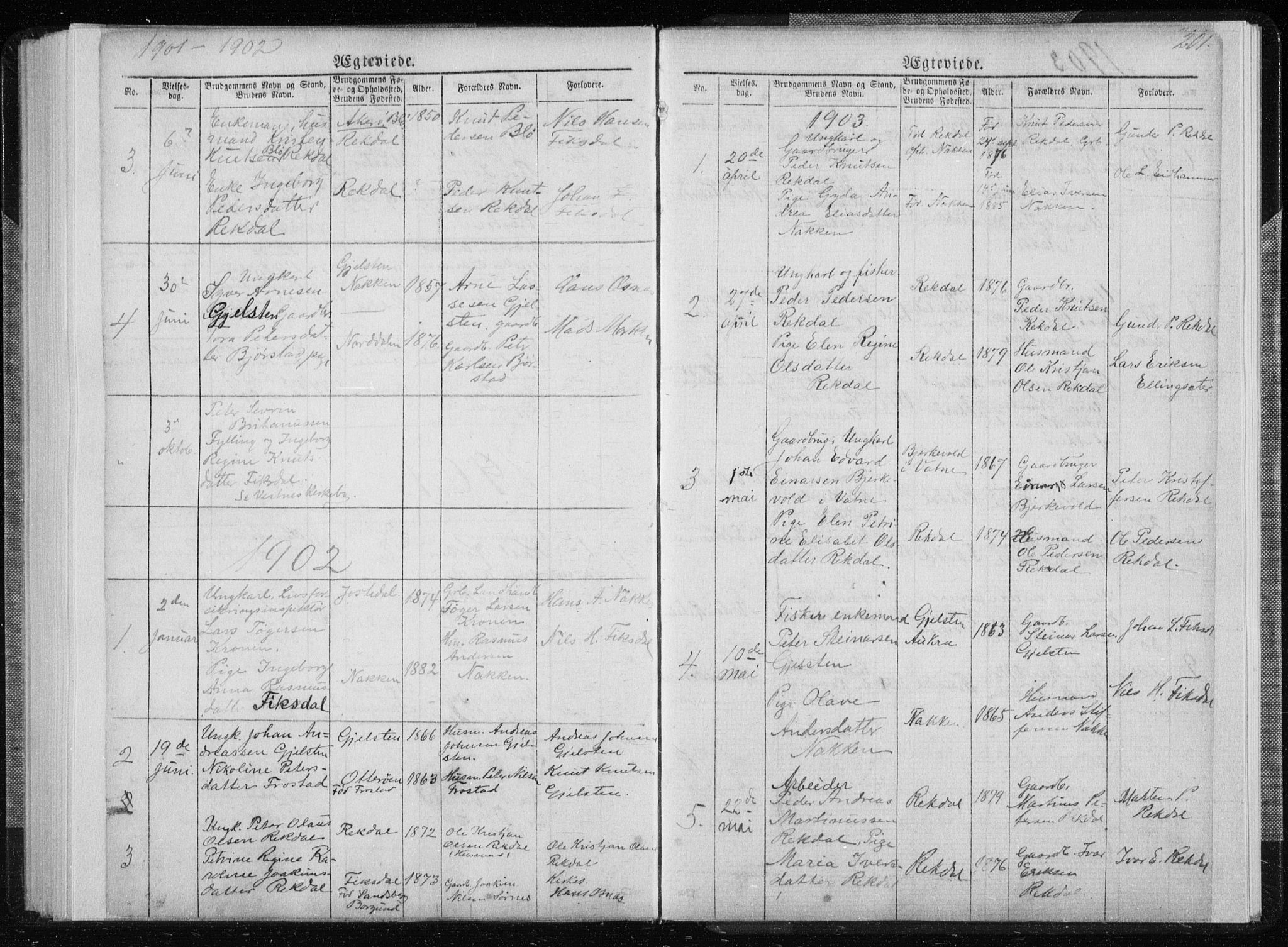 Ministerialprotokoller, klokkerbøker og fødselsregistre - Møre og Romsdal, SAT/A-1454/540/L0541: Parish register (copy) no. 540C01, 1867-1920, p. 201