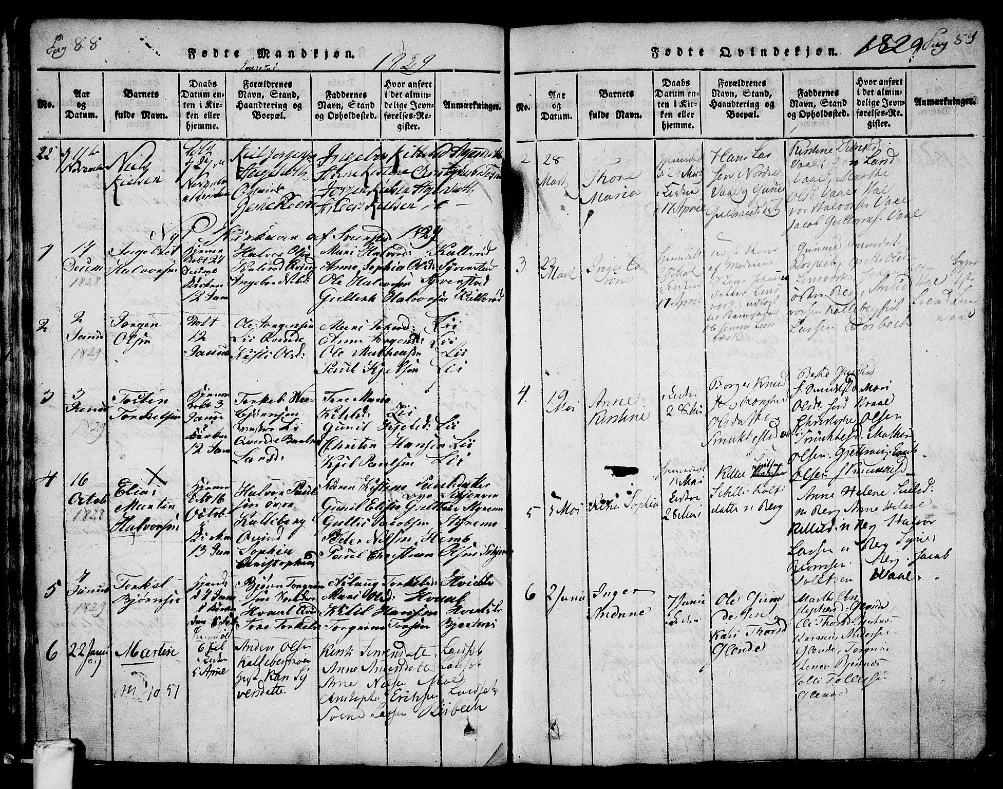 Lardal kirkebøker, AV/SAKO-A-350/F/Fa/L0005: Parish register (official) no. I 5, 1814-1835, p. 88-89