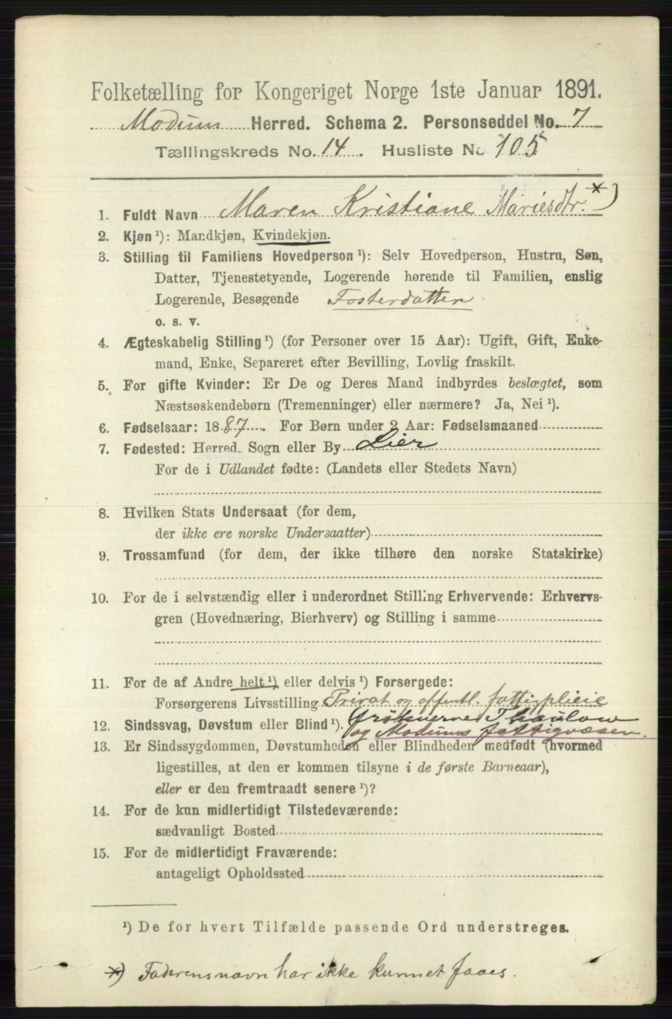 RA, 1891 census for 0623 Modum, 1891, p. 6108