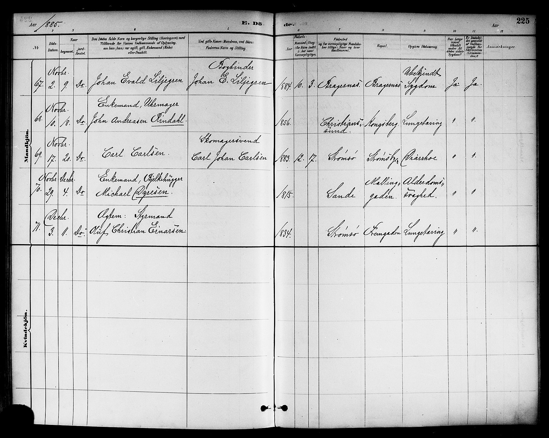 Strømsø kirkebøker, AV/SAKO-A-246/F/Fa/L0023: Parish register (official) no. I 23, 1885-1894, p. 225