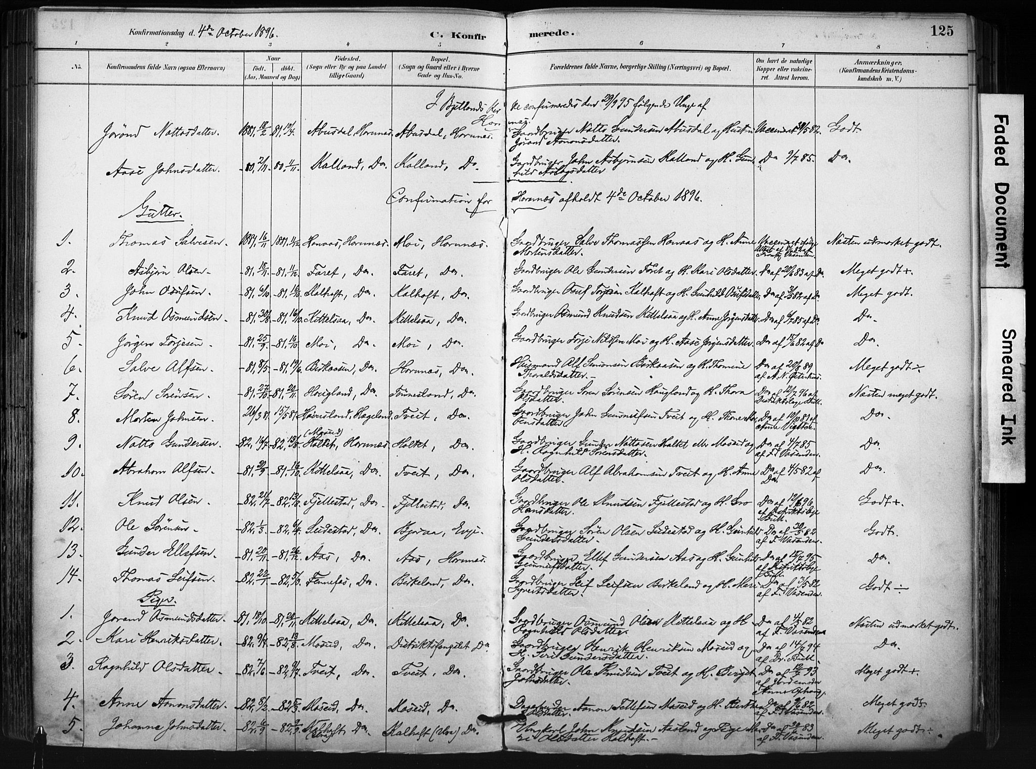 Evje sokneprestkontor, SAK/1111-0008/F/Fa/Fab/L0003: Parish register (official) no. A 3, 1884-1909, p. 125