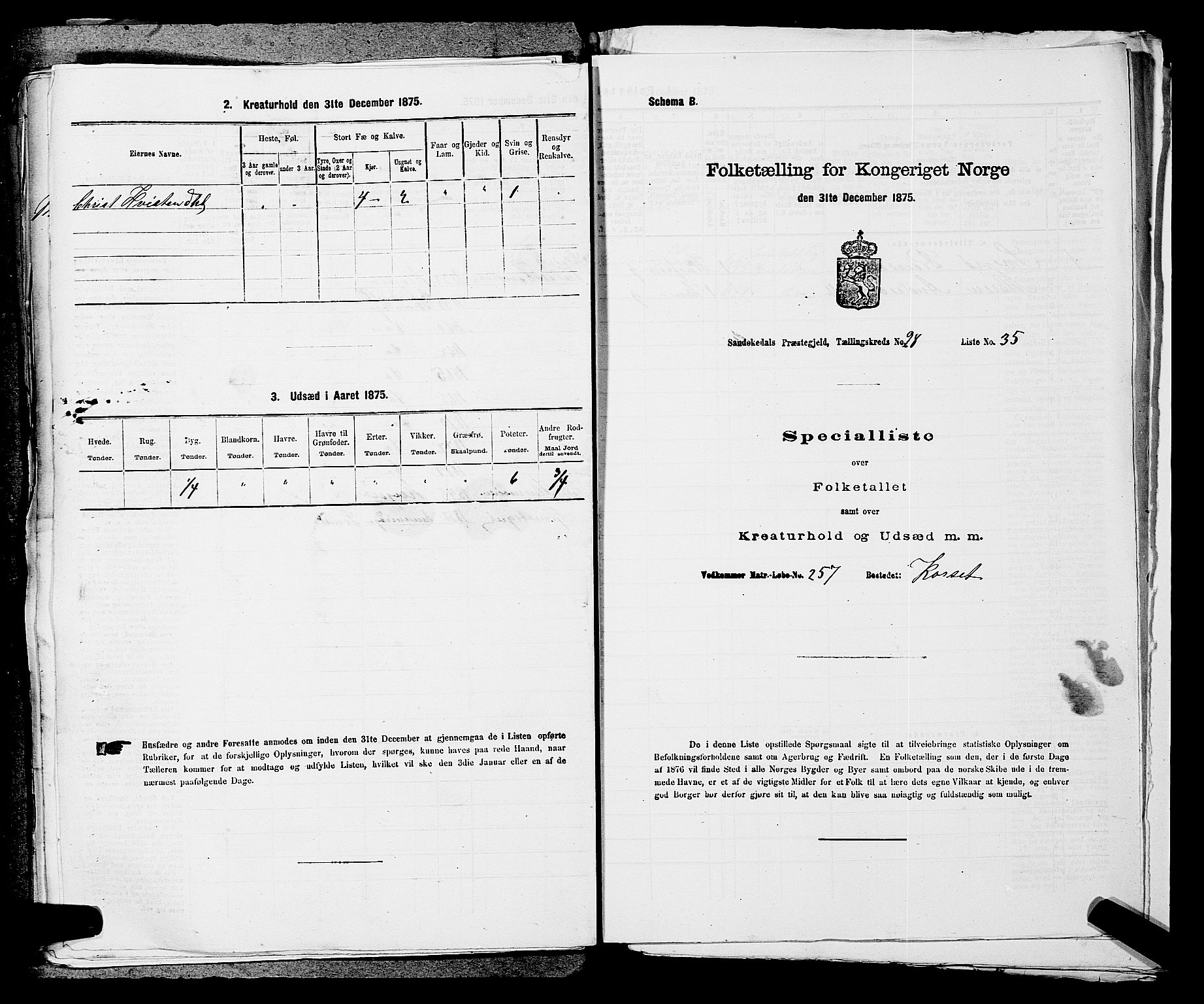 SAKO, 1875 census for 0816P Sannidal, 1875, p. 2228