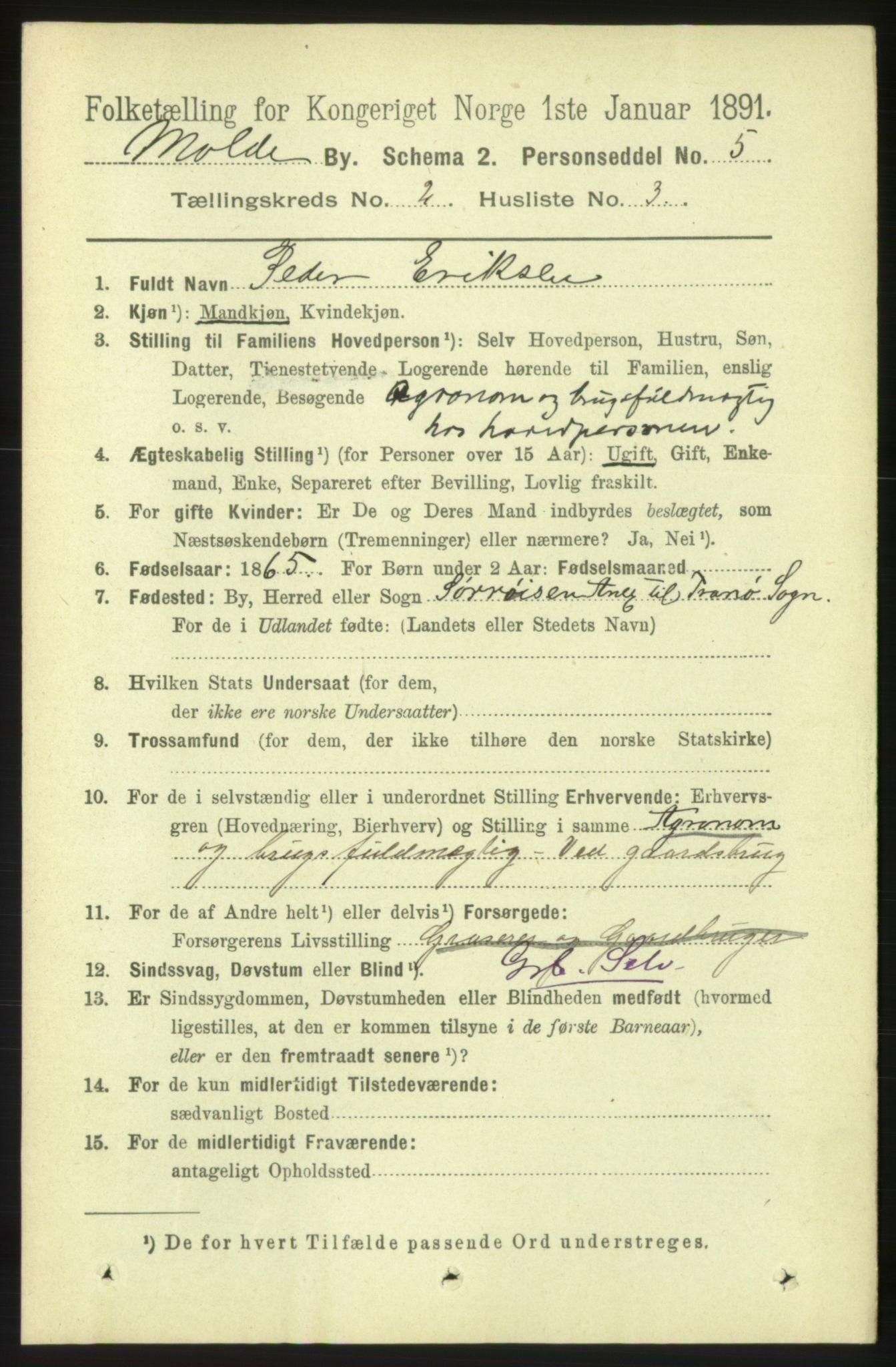 RA, 1891 census for 1502 Molde, 1891, p. 1445