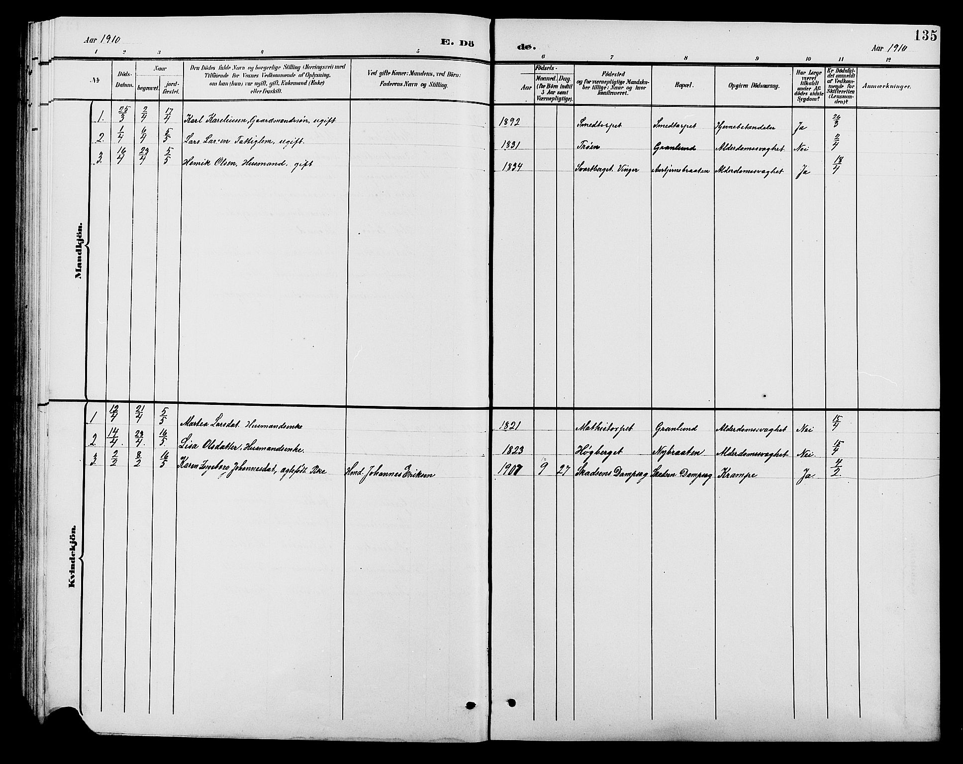 Brandval prestekontor, SAH/PREST-034/H/Ha/Hab/L0001: Parish register (copy) no. 1, 1895-1910, p. 135