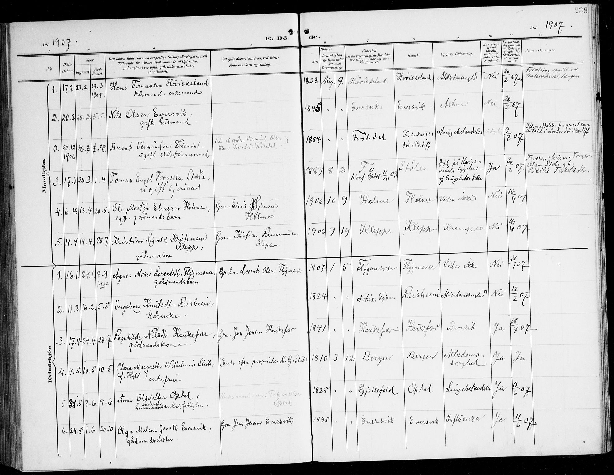 Tysnes sokneprestembete, AV/SAB-A-78601/H/Haa: Parish register (official) no. D 2, 1905-1922, p. 238