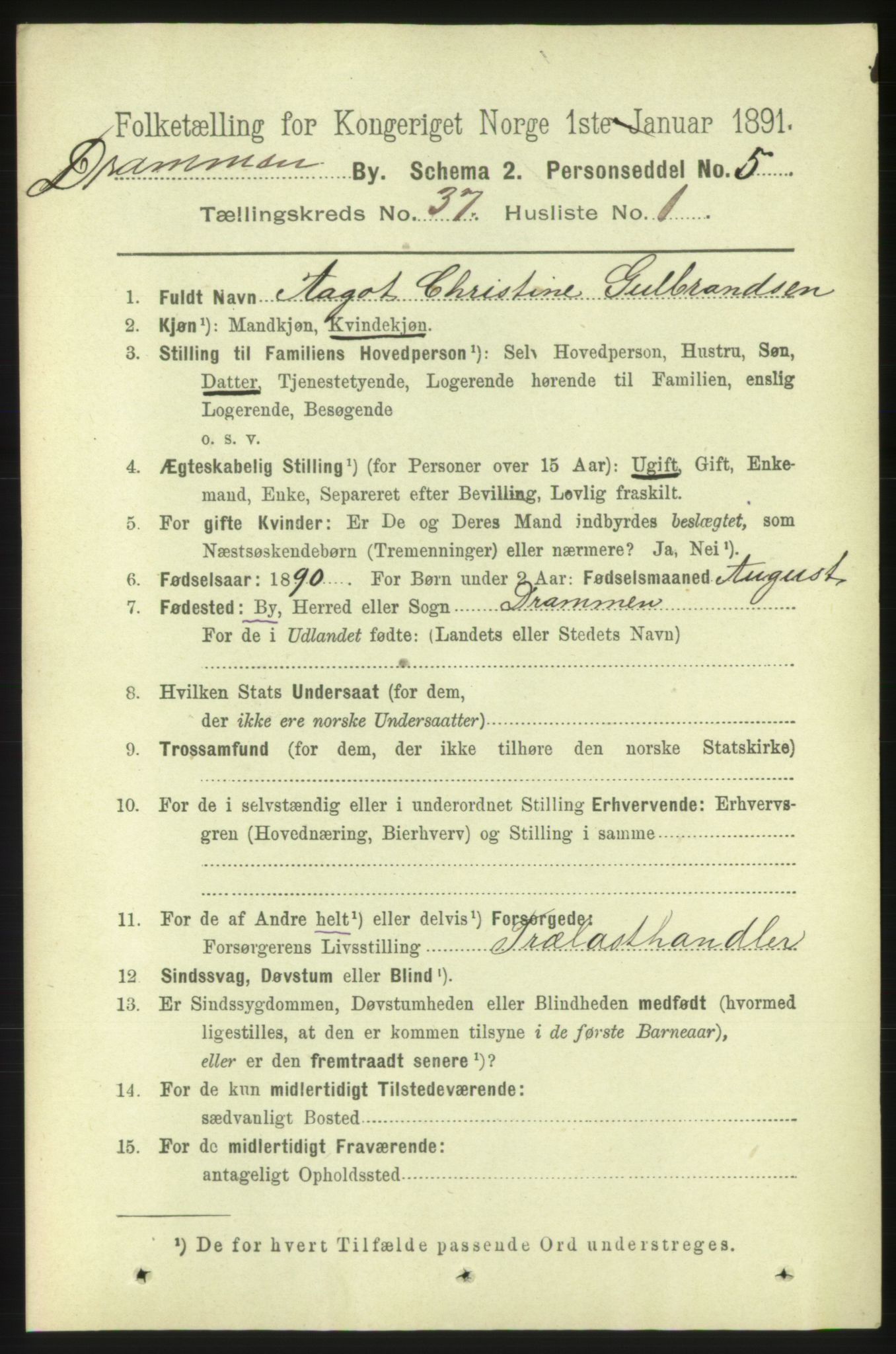 RA, 1891 census for 0602 Drammen, 1891, p. 22804