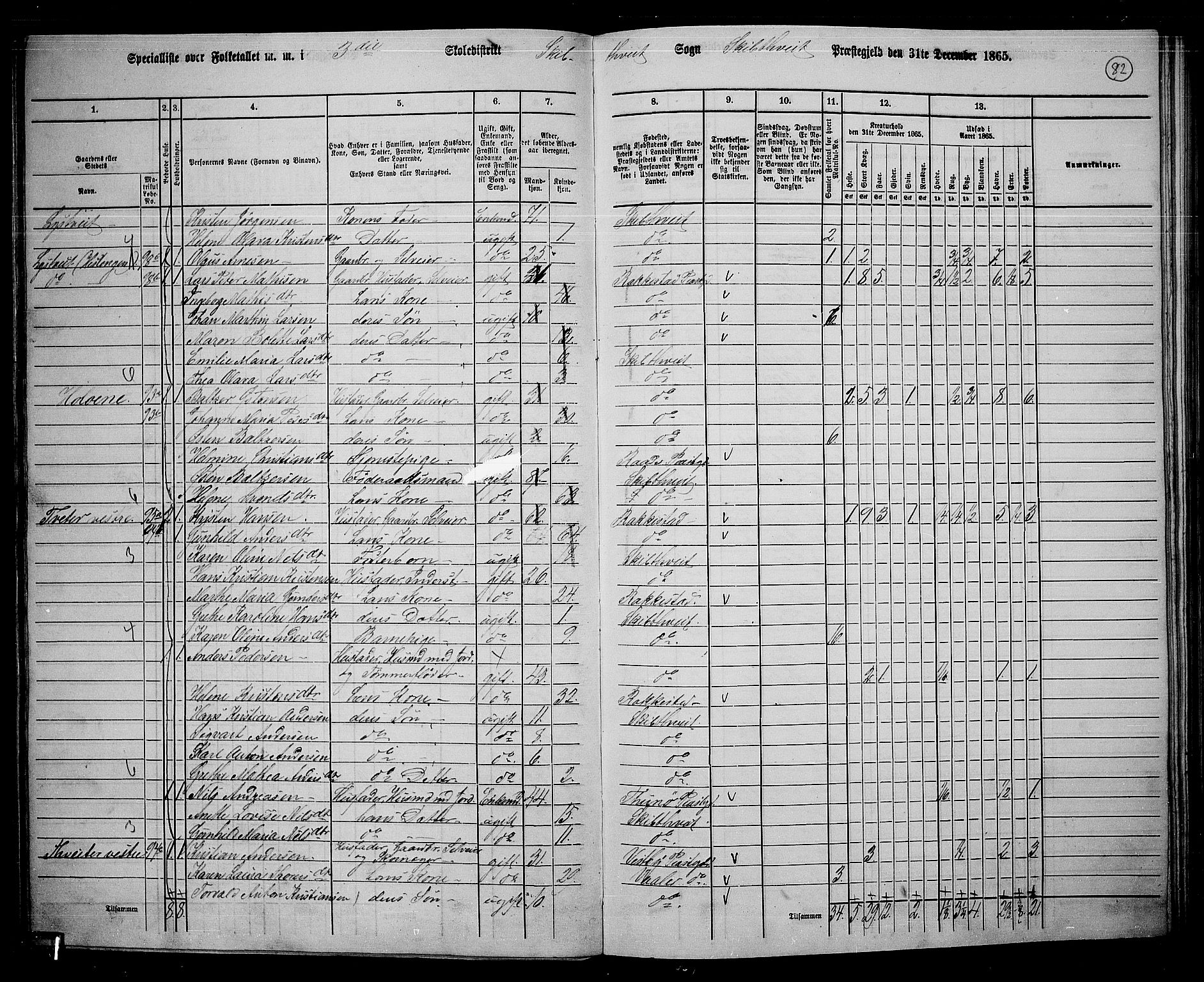 RA, 1865 census for Skiptvet, 1865, p. 73