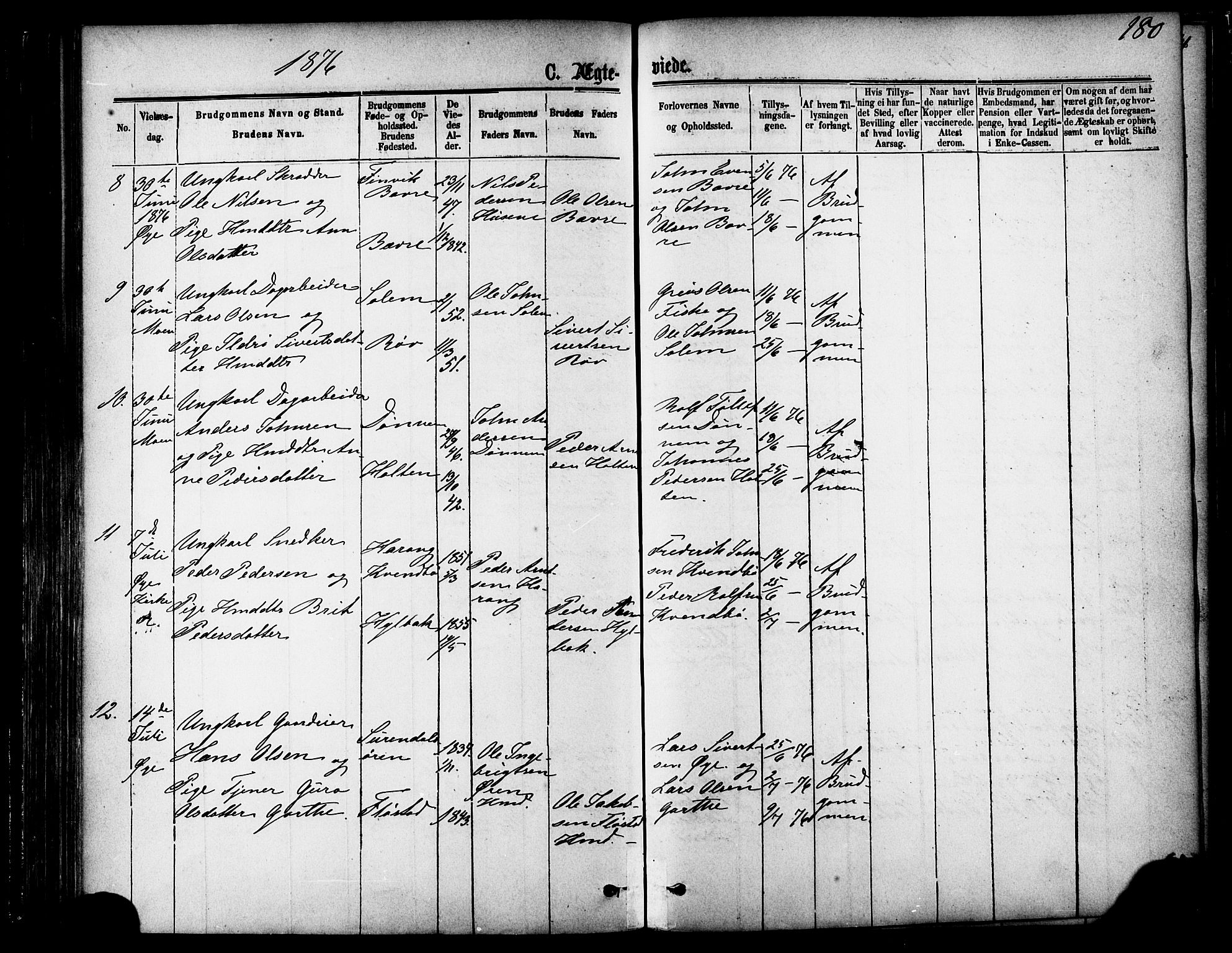 Ministerialprotokoller, klokkerbøker og fødselsregistre - Møre og Romsdal, AV/SAT-A-1454/595/L1046: Parish register (official) no. 595A08, 1874-1884, p. 180