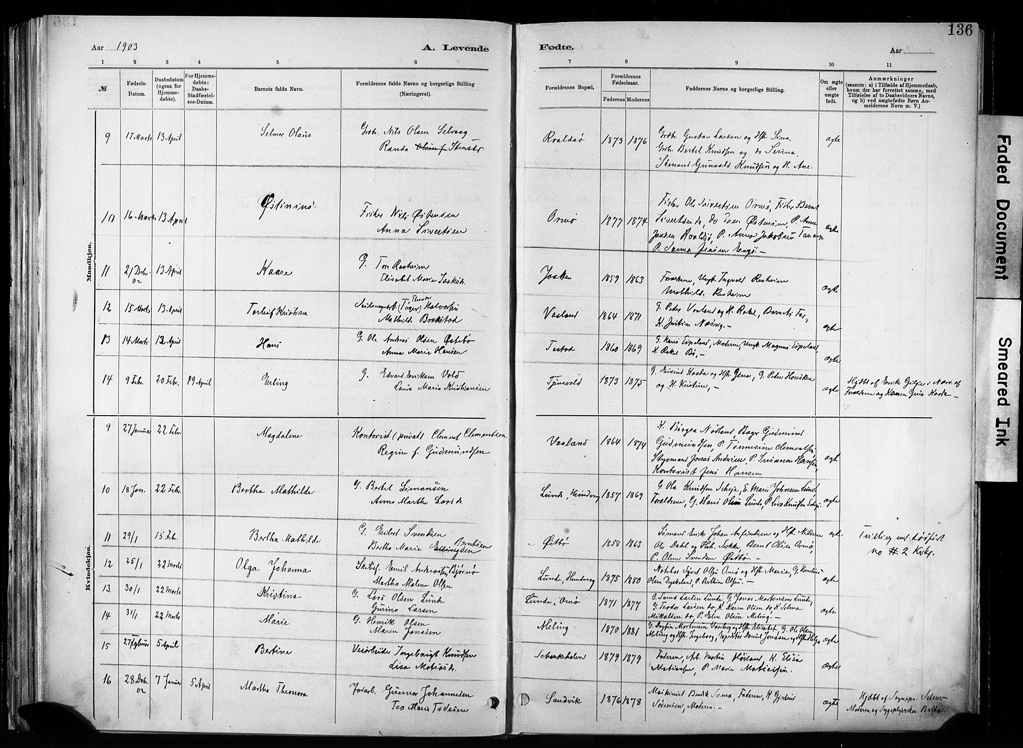 Hetland sokneprestkontor, SAST/A-101826/30/30BA/L0011: Parish register (official) no. A 11, 1884-1911, p. 136