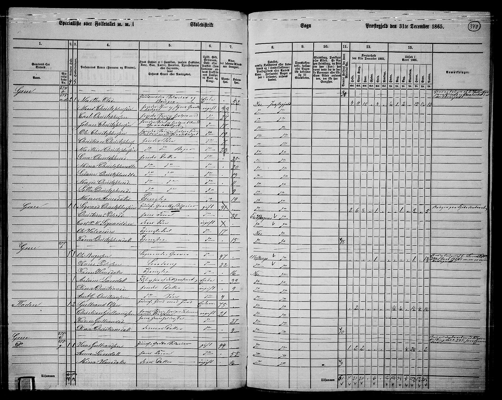 RA, 1865 census for Nes, 1865, p. 310