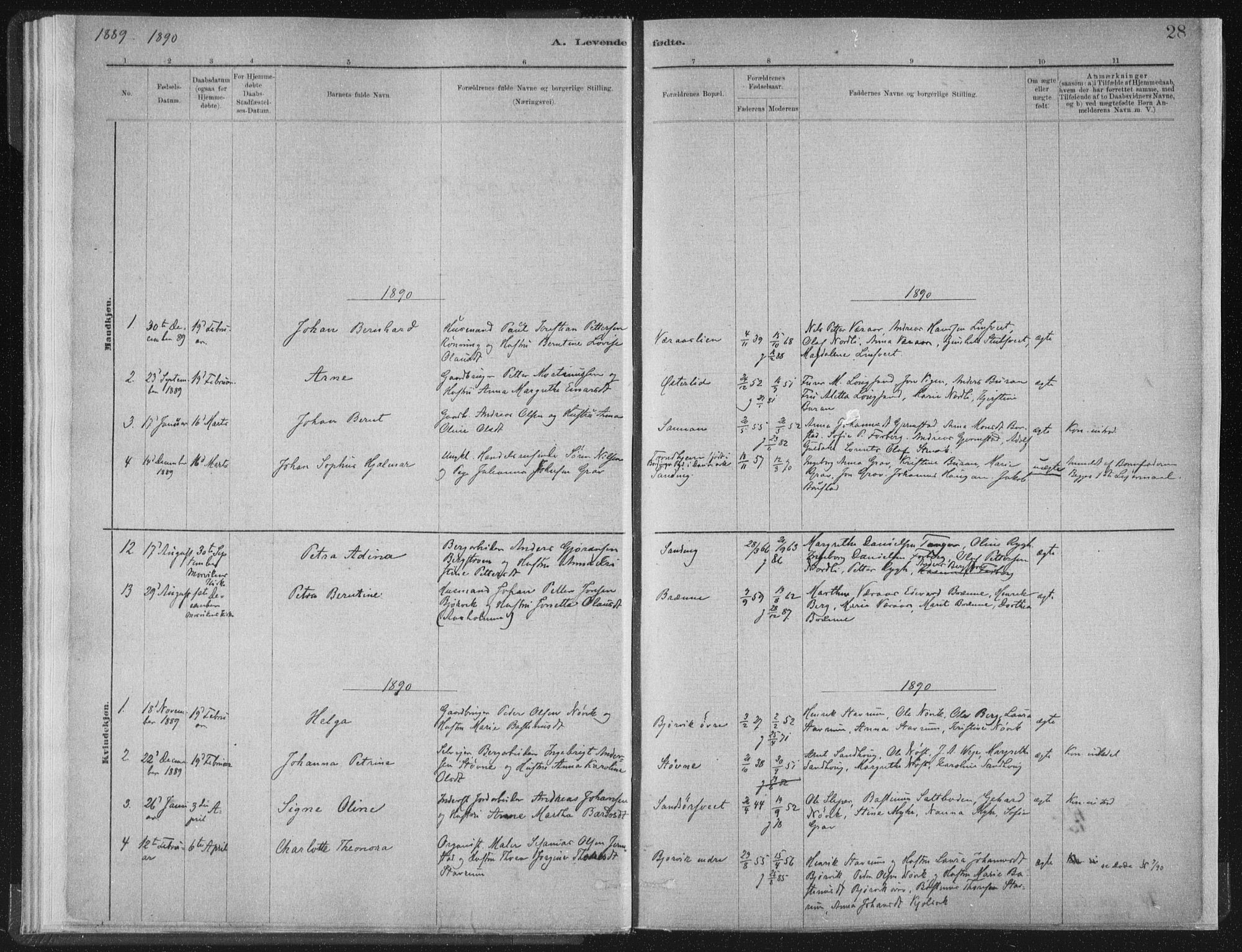 Ministerialprotokoller, klokkerbøker og fødselsregistre - Nord-Trøndelag, SAT/A-1458/722/L0220: Parish register (official) no. 722A07, 1881-1908, p. 28