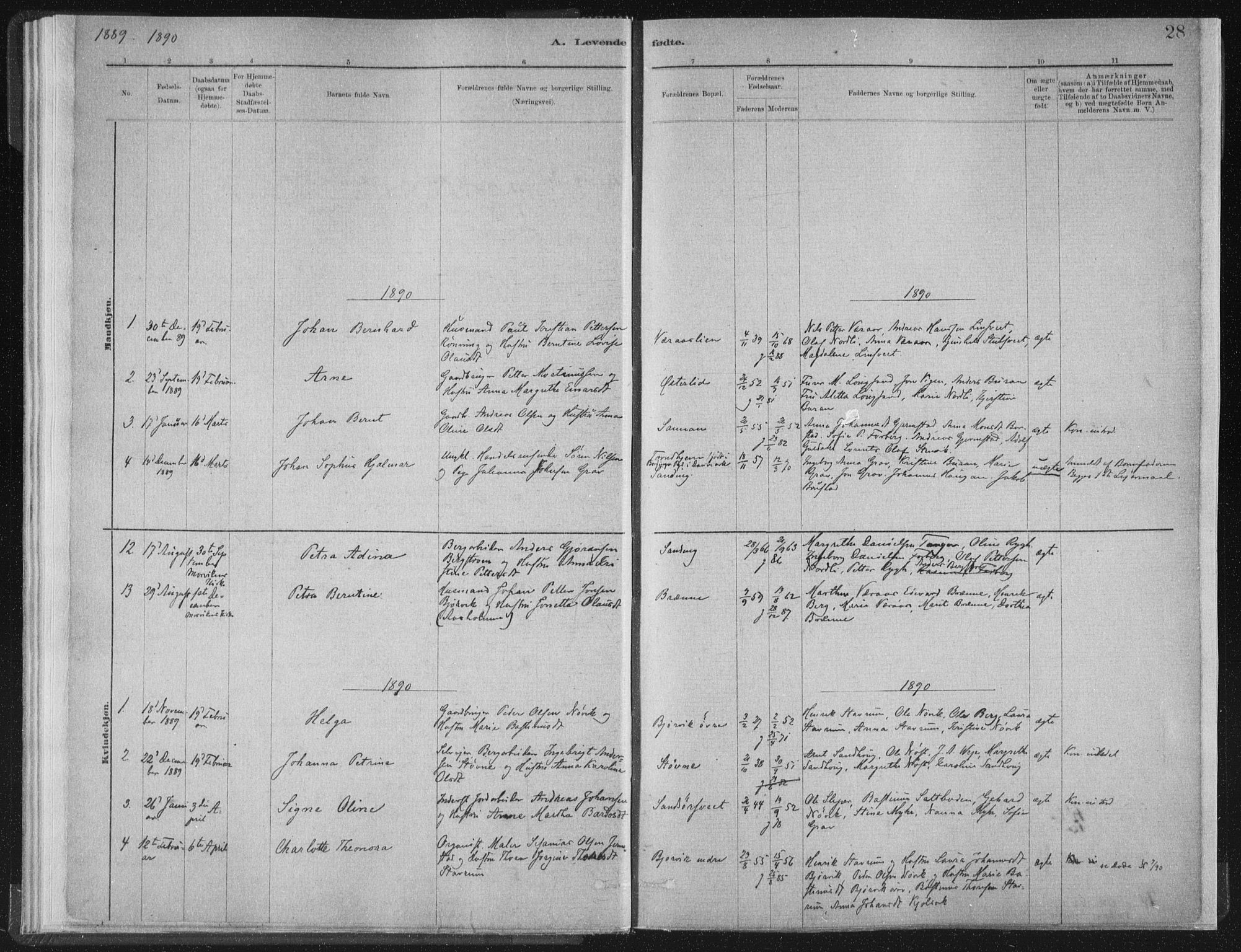 Ministerialprotokoller, klokkerbøker og fødselsregistre - Nord-Trøndelag, AV/SAT-A-1458/722/L0220: Parish register (official) no. 722A07, 1881-1908, p. 28