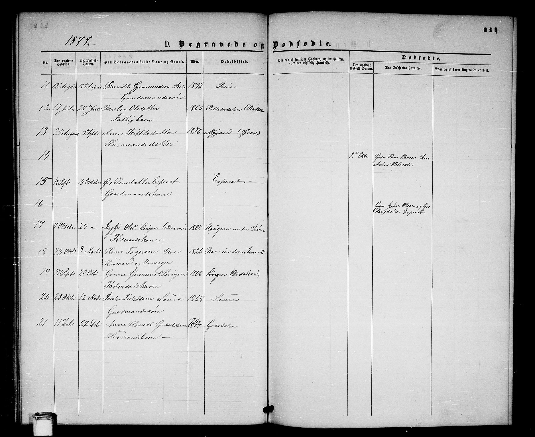Gransherad kirkebøker, SAKO/A-267/G/Gb/L0002: Parish register (copy) no. II 2, 1860-1886, p. 213