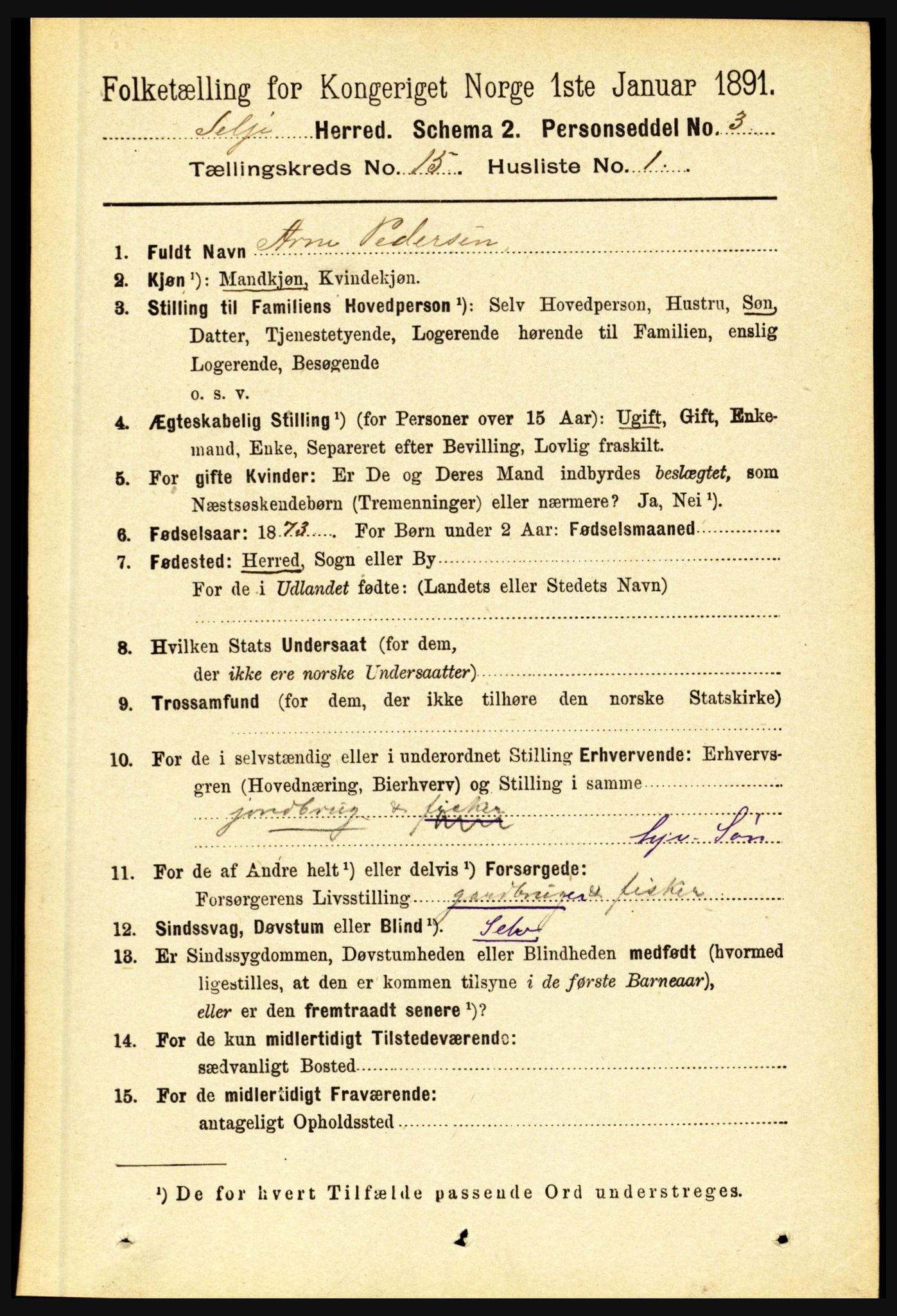 RA, 1891 census for 1441 Selje, 1891, p. 4697