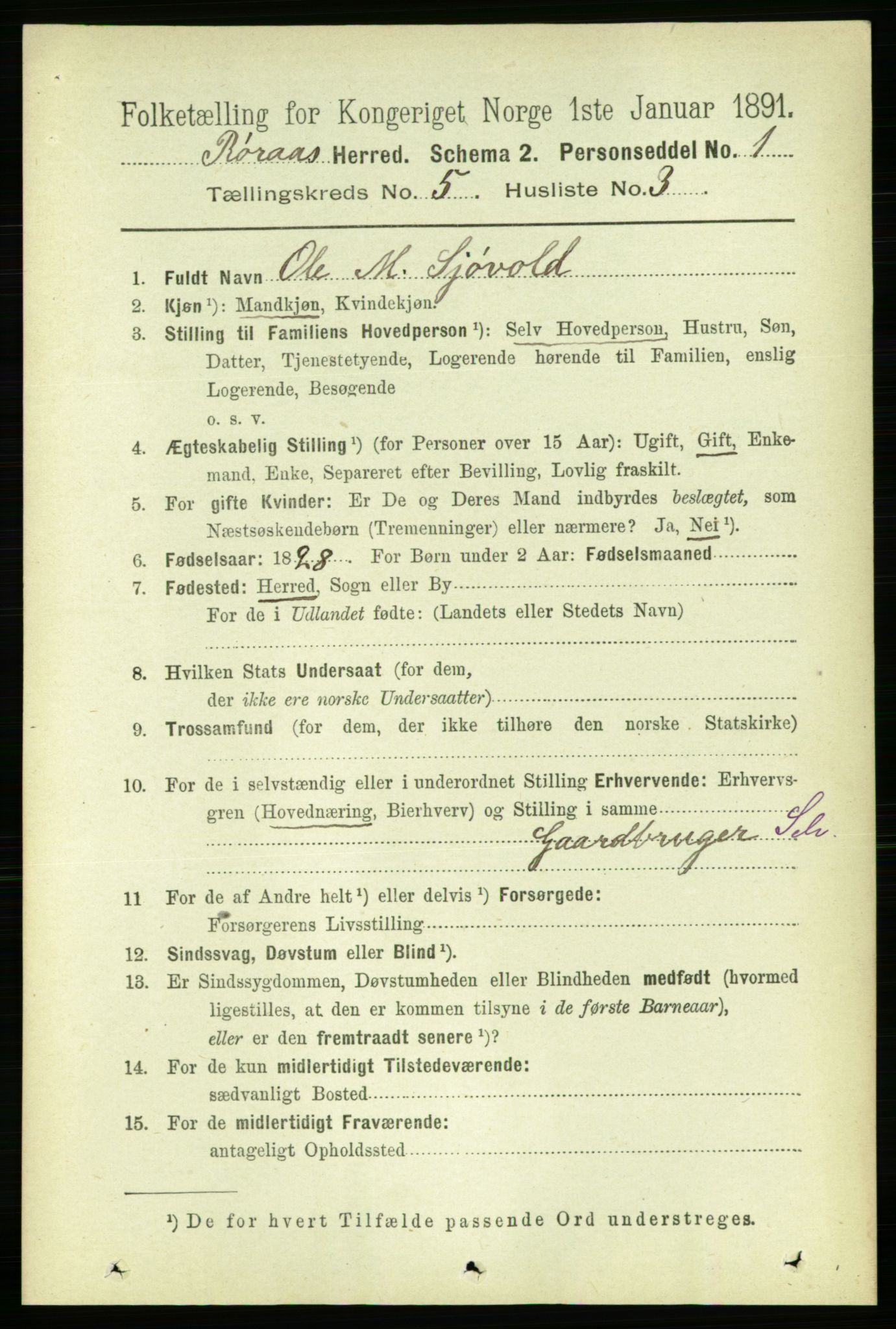 RA, 1891 census for 1640 Røros, 1891, p. 1029