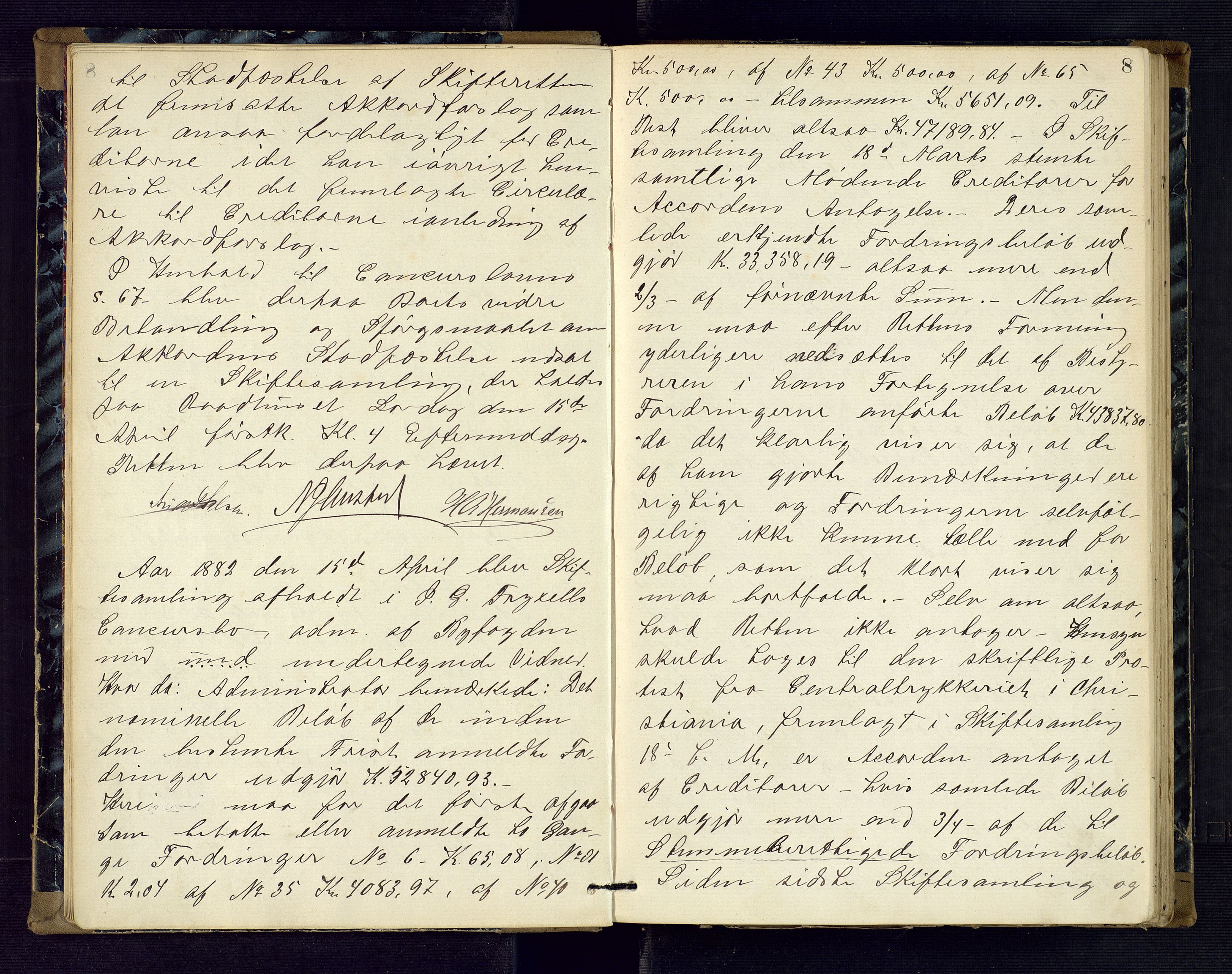 Risør byfogd, AV/SAK-1222-0005/H/Hc/L0004: Skifteprotokoll nr. 3B, 1882-1886, p. 8