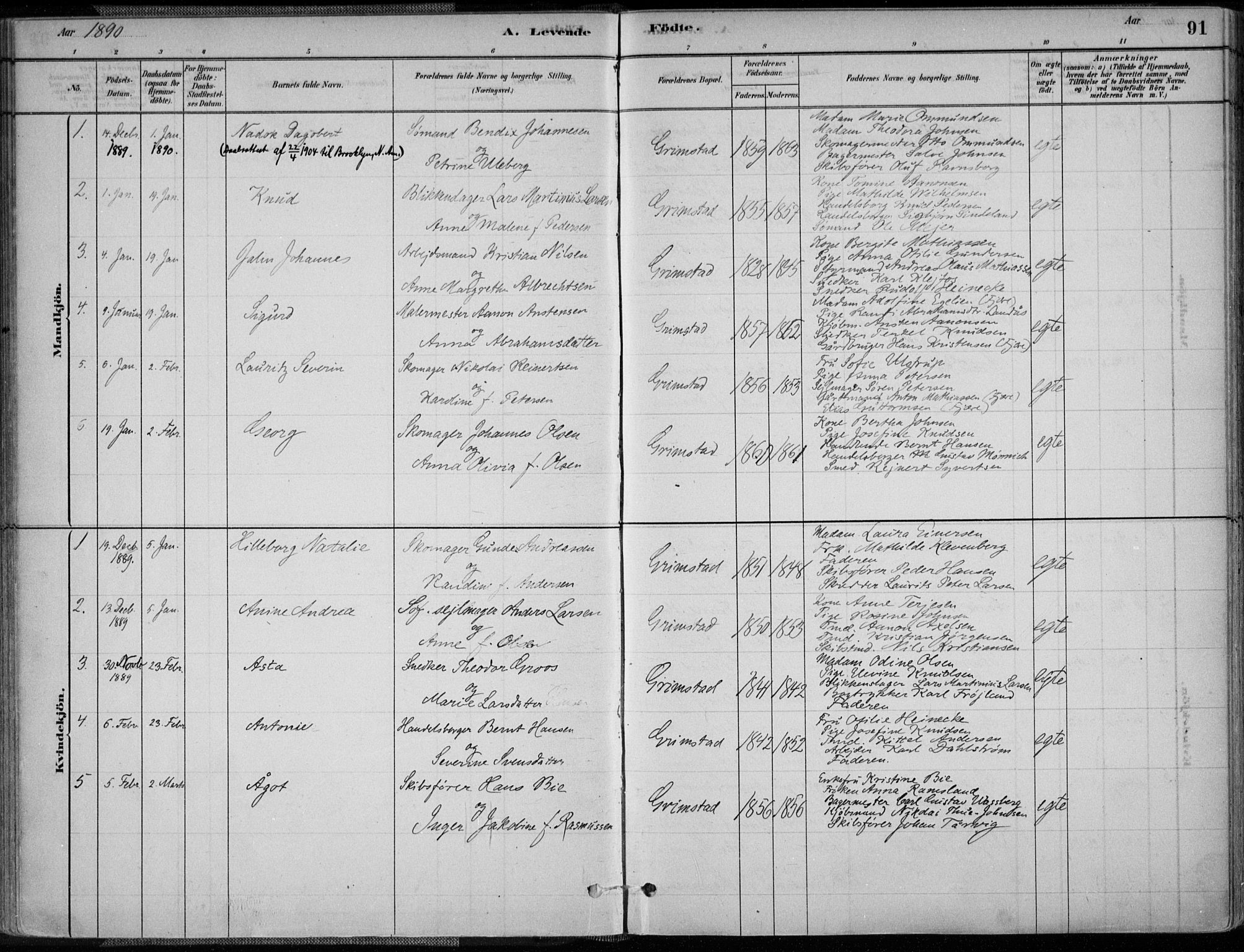 Grimstad sokneprestkontor, AV/SAK-1111-0017/F/Fa/L0003: Parish register (official) no. A 2, 1882-1912, p. 91