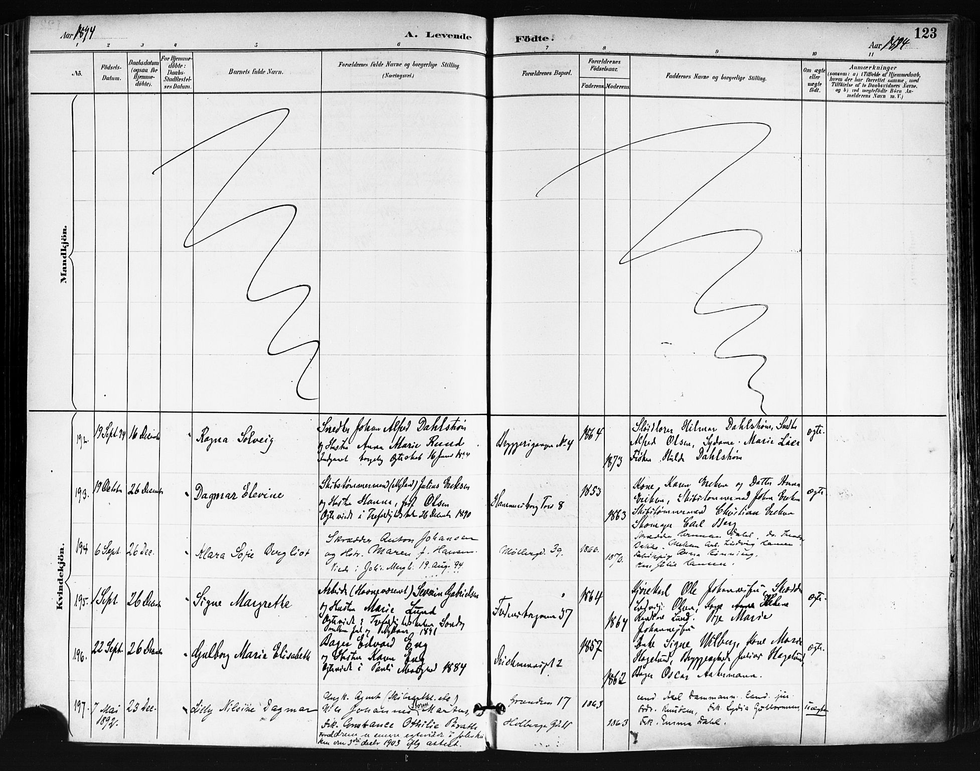 Trefoldighet prestekontor Kirkebøker, AV/SAO-A-10882/F/Fa/L0006: Parish register (official) no. I 6, 1891-1899, p. 123