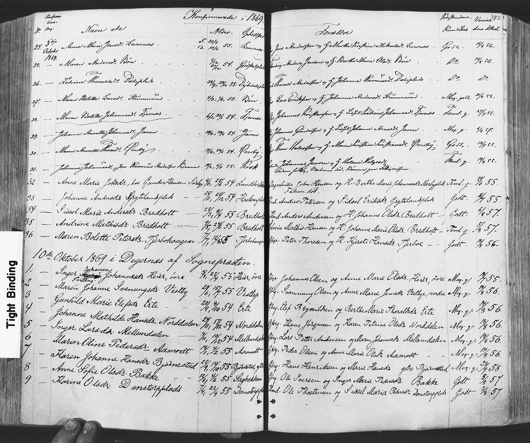 Rakkestad prestekontor Kirkebøker, AV/SAO-A-2008/F/Fa/L0011: Parish register (official) no. I 11, 1862-1877, p. 242